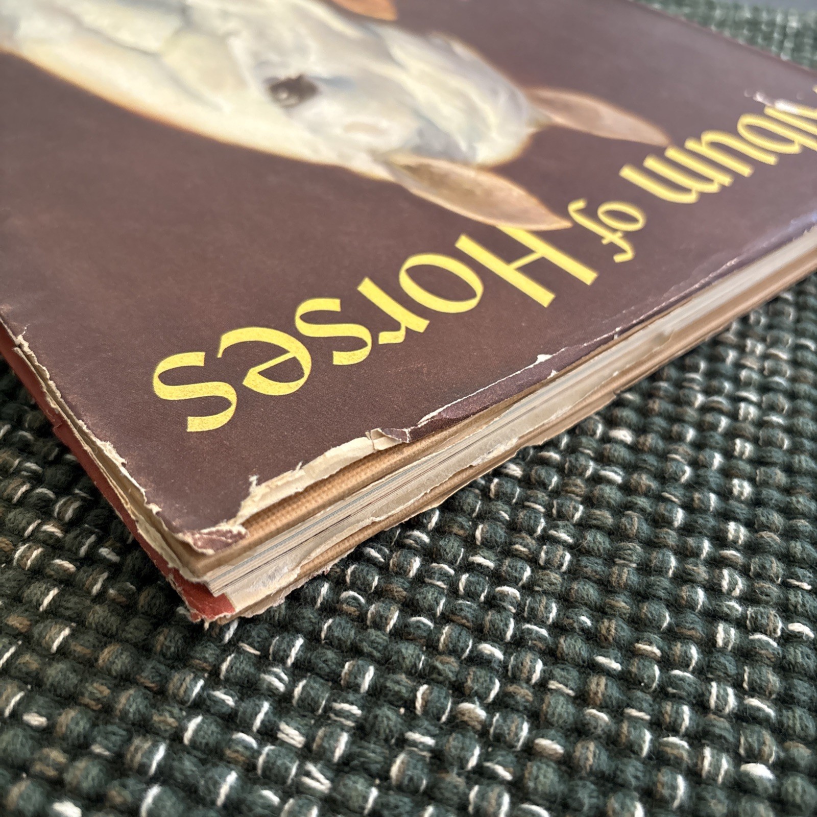 SIGNED Marguerite Henry “Album of Horses” – 1961, Hardcover, Illustrated