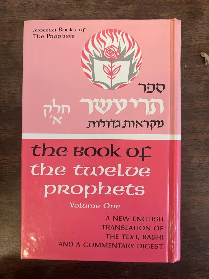 The Book of Twelve Prophets, Vol. 1 | Judaica Books of the Prophets | HEBREW/ENG