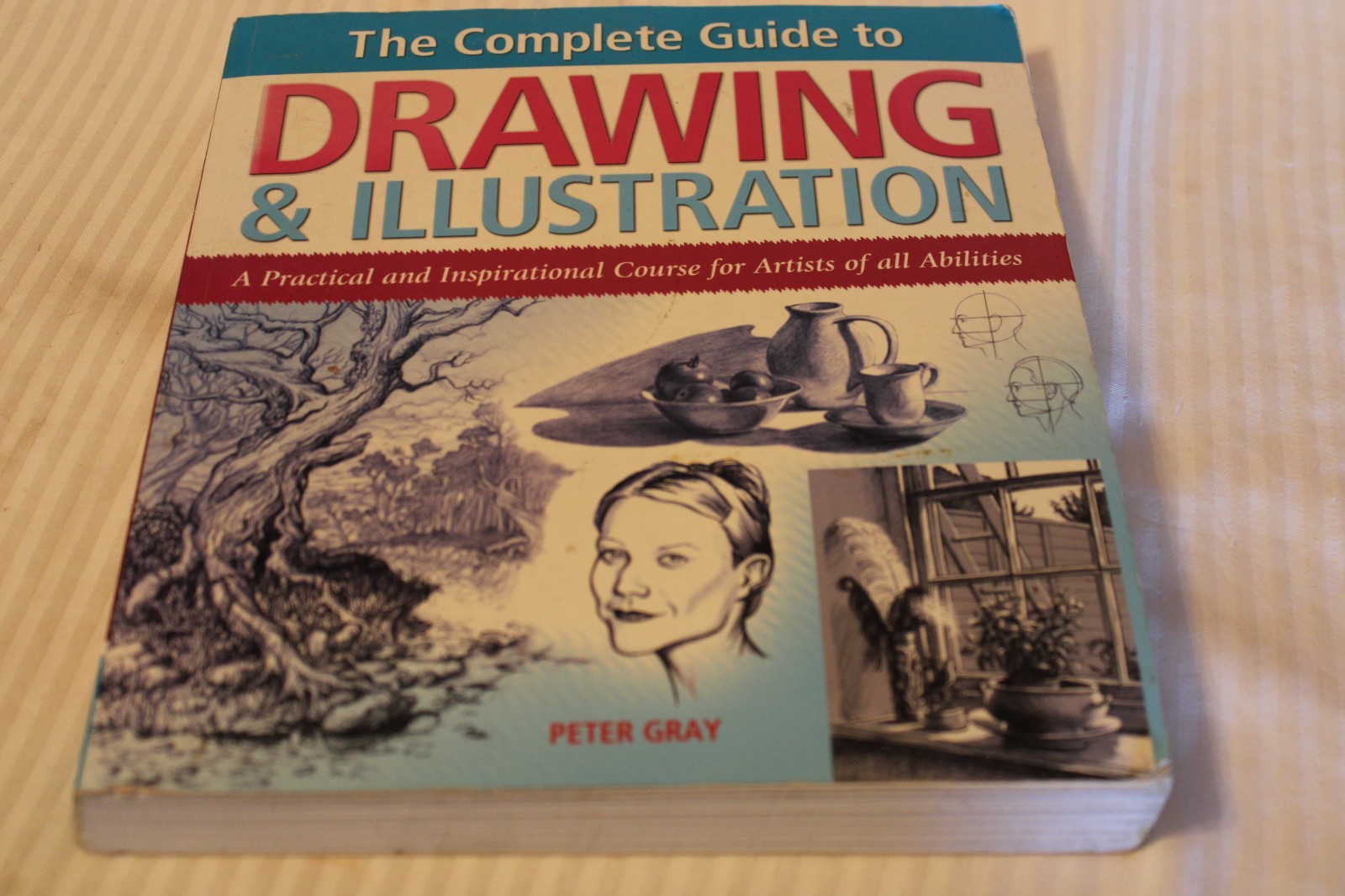 2007 THE COMPLETE GUIDE TO DRAWING & ILLUSTRATION BOOK BY PETER GRAY – KD 6494S