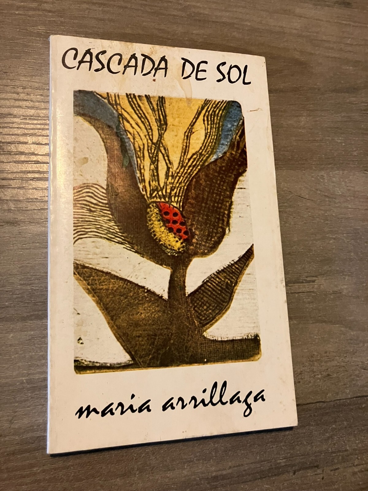 CASCADA DE SOL MARIA ARRILLAGA Paperback Book Puerto Rico