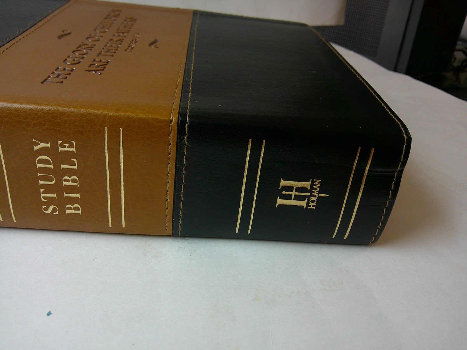 BEAUTIFUL KJV STUDY BIBLE BONDED LEATHER 2012 TWO TONE HOLMAN NICE