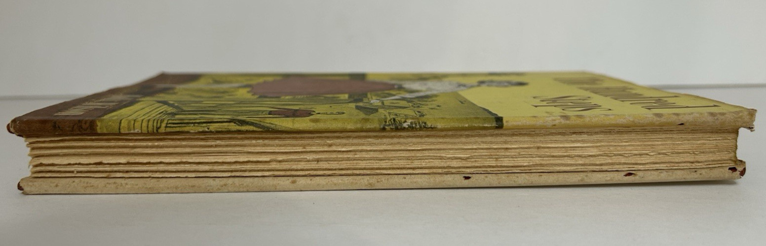 The Hundred Steps by Holly Wilson 1958, Hardcover w/ Dustjacket