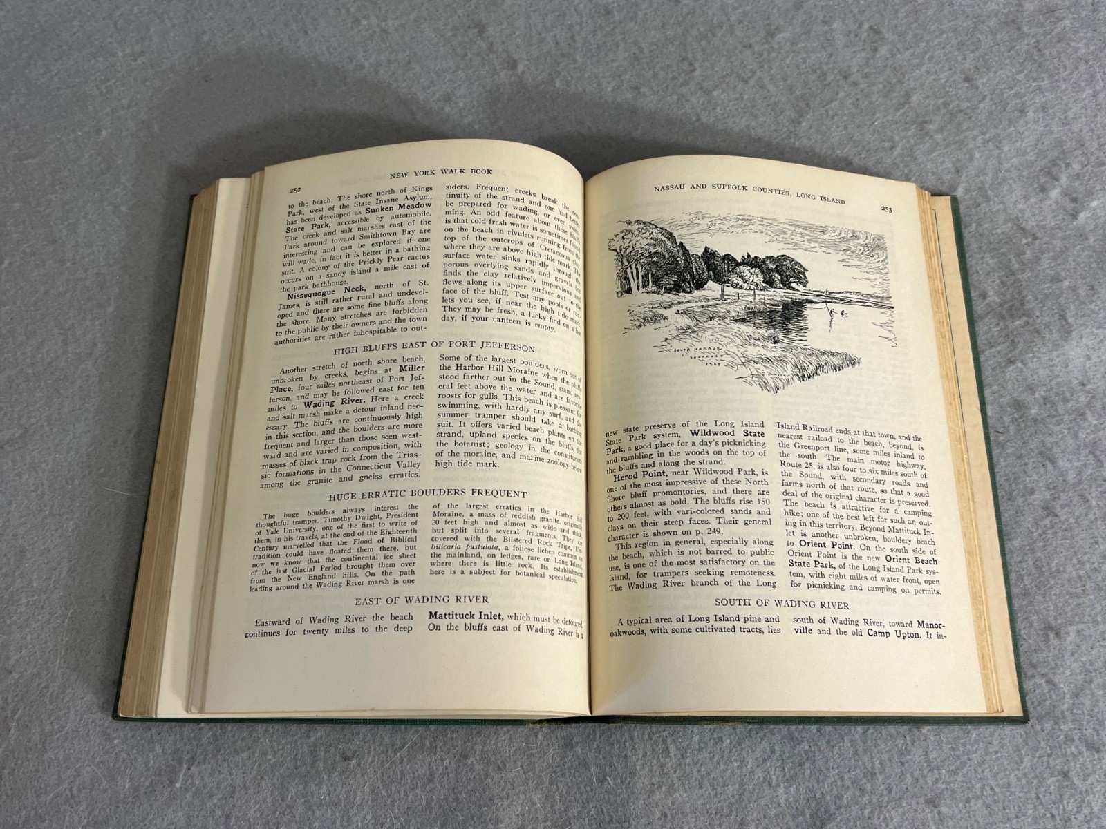 Antique New York Book NY Walk Book New York City Hudson Long Island w/Maps 1936