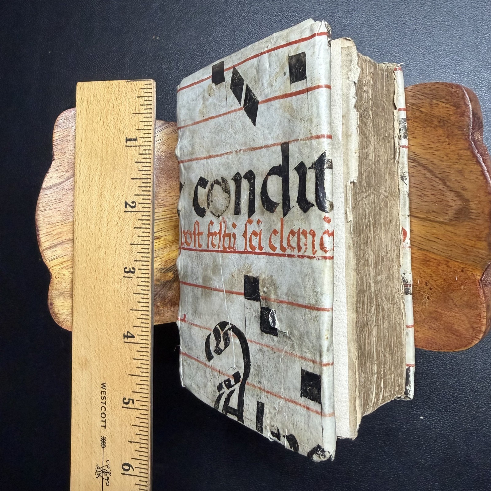 1559 Aulus Gellius Latin, Manuscript Vellum Binding, Gauffered Edges