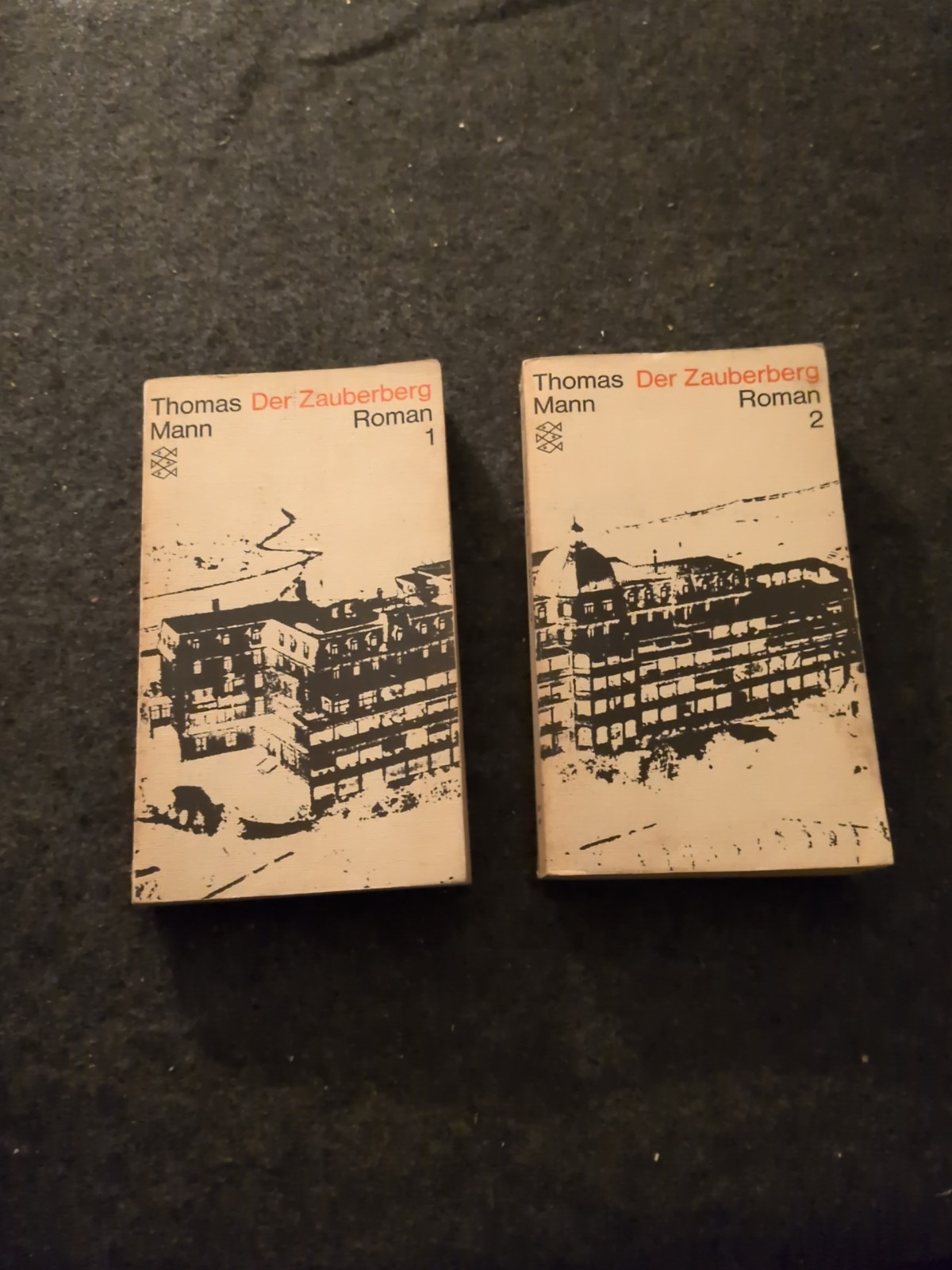 Thomas Mann Der Zauberer Roman book 1 & 2 German text (W)