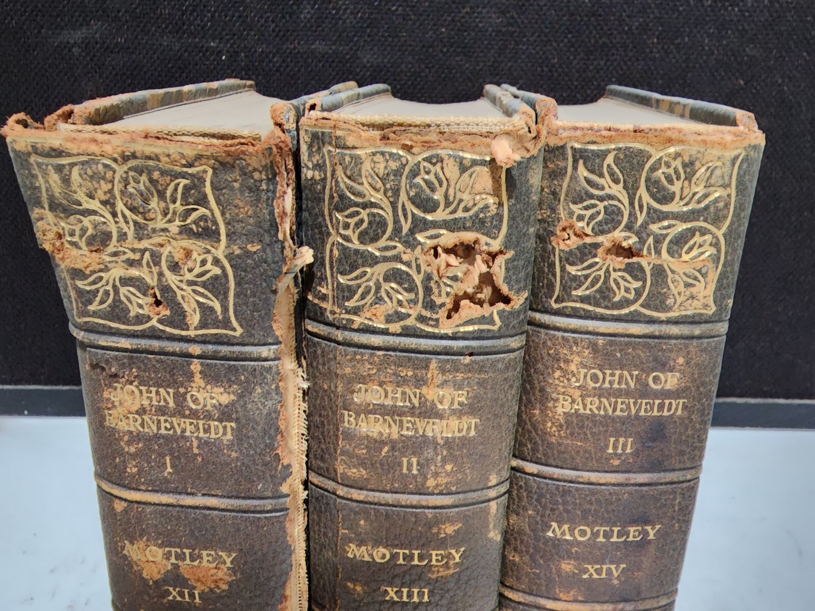 1900 – 3 VOLUMES The Life and Death of John of Barneveld MOTLEY Harper Books