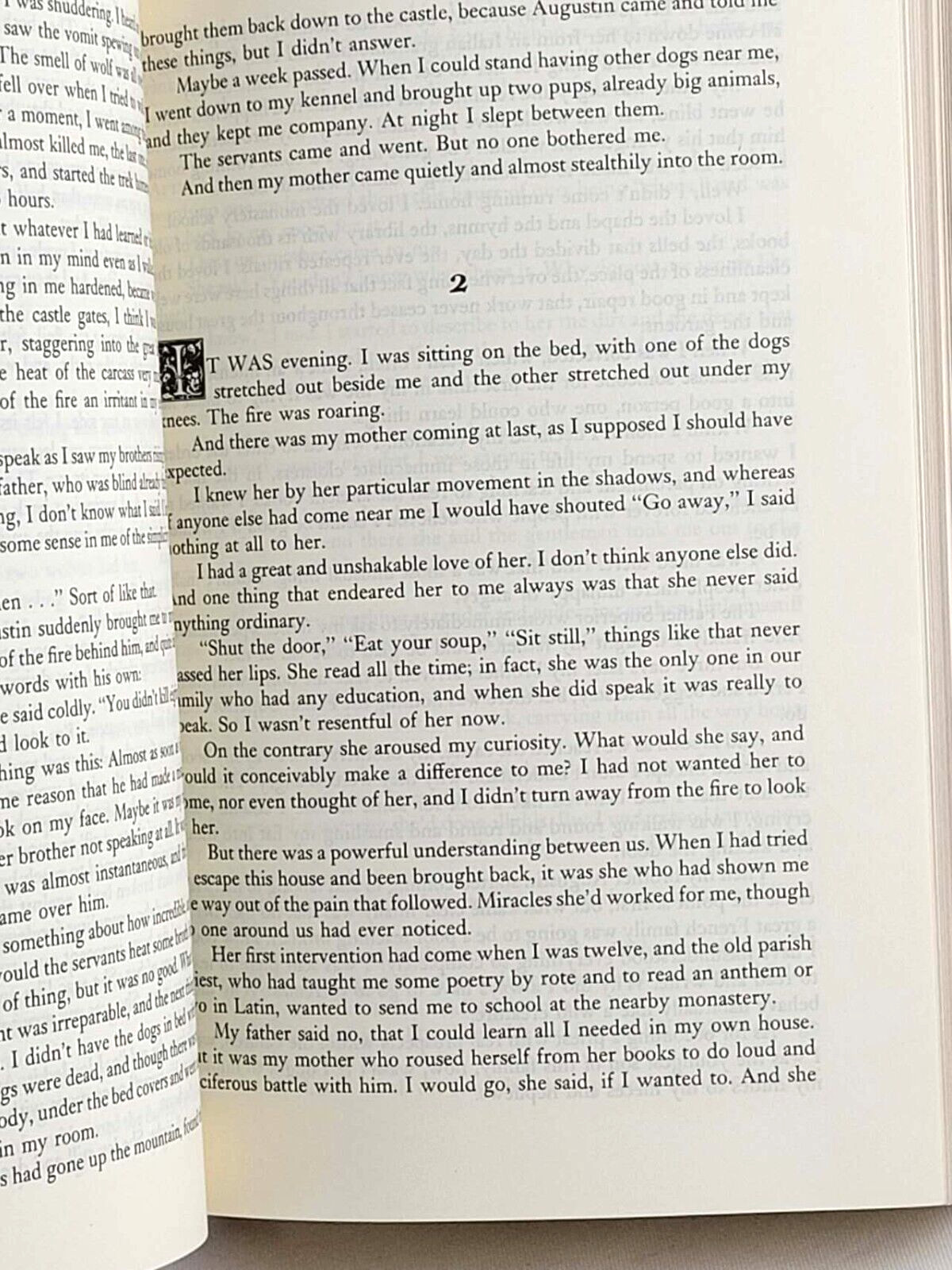 THE VAMPIRE CHRONICLES & INTERVIEW WITH THE VAMPIRE Anne Rice Bonded Leather NEW