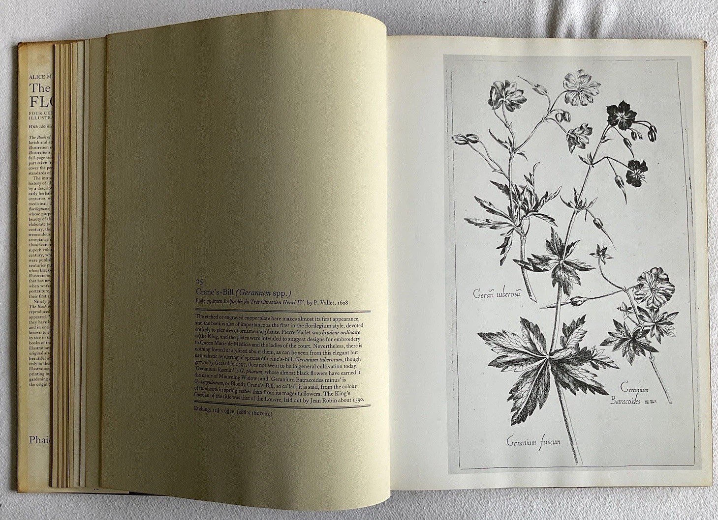Collectable Vintage The Book of Flowers by Alice M. Coats. Large H/B Book, 1973