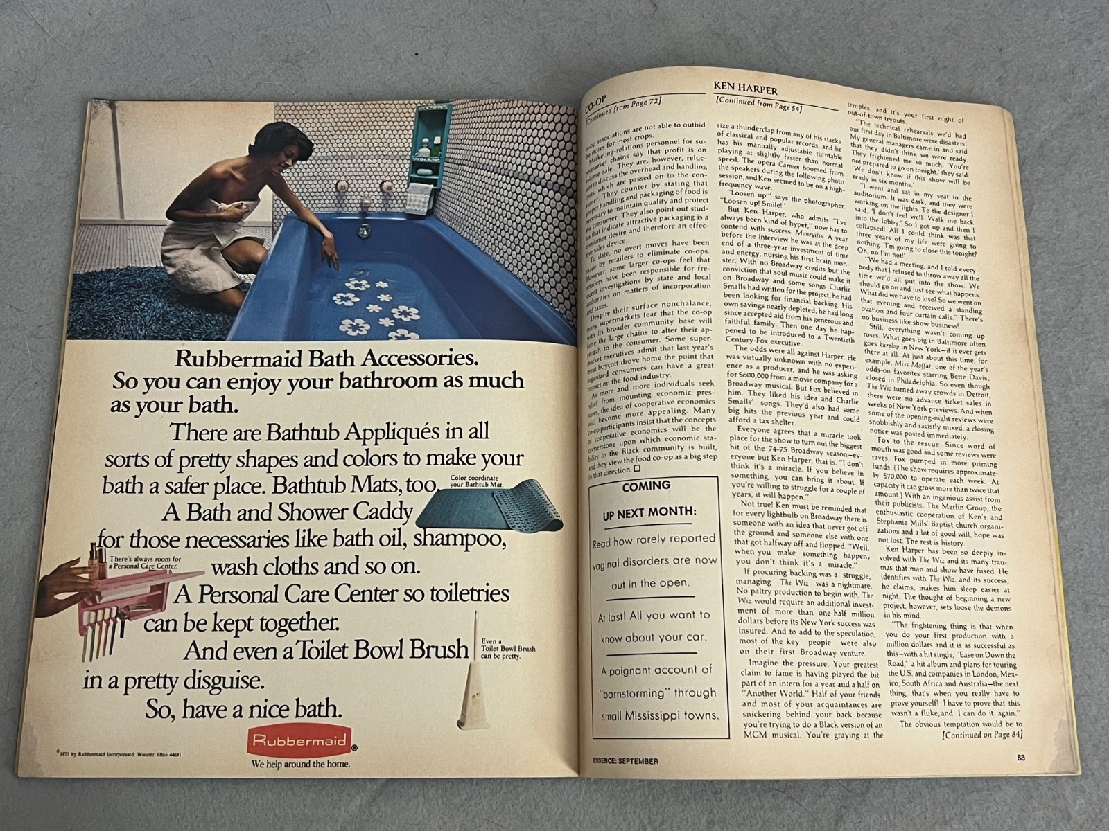 Vintage Essence Magazine Beauty Fashion Poetry Culture Food Coops September 1975