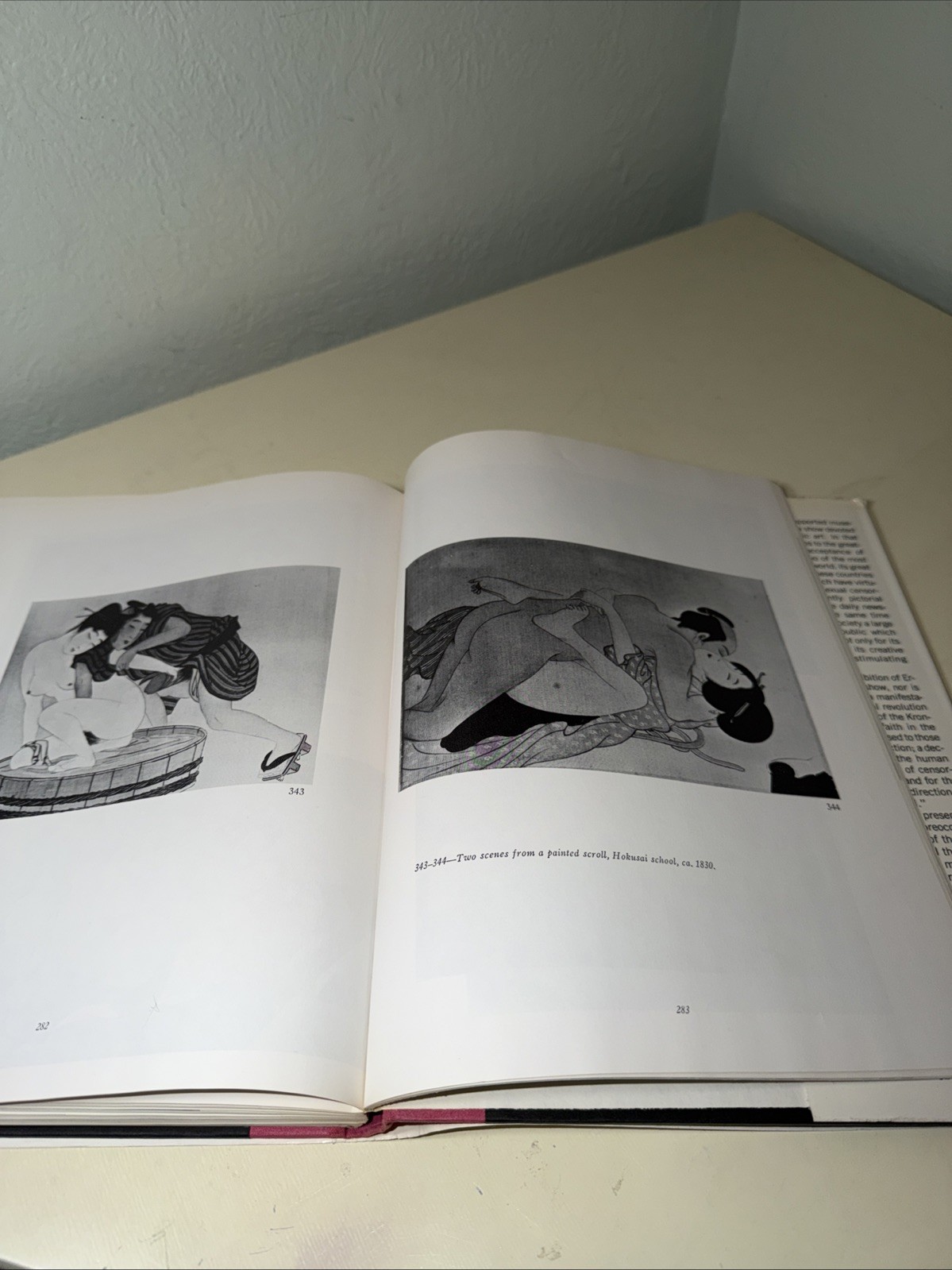 Erotic Art Survey Of Erotic Fact & Fancy In The Fine Arts By Drs Phyllis c 1968