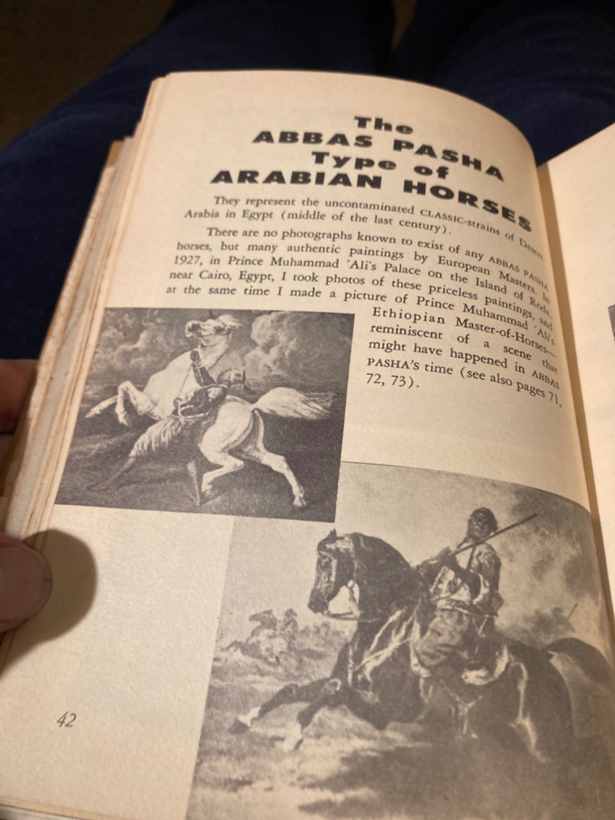 The Arab and his horse (1st Ed) by Carl Reinhard Raswan