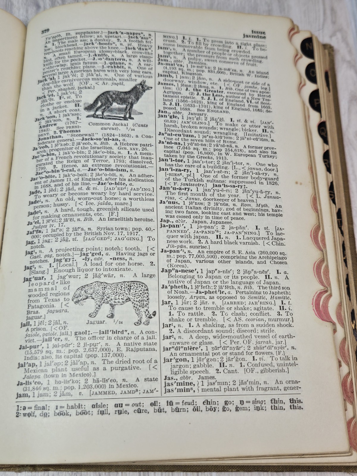 1925 Funk & Wagnalls Comprehensive Standard Dictionary Thumb Indexed Illustrated