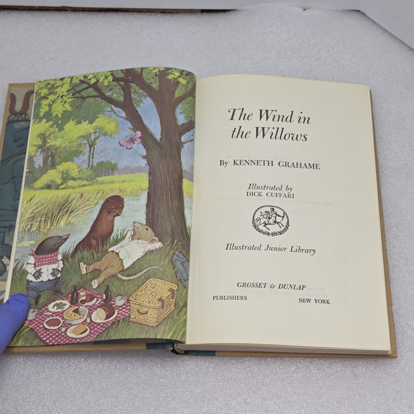 Vintage Wind in the Willows Hardcover Book 1975 Illustrated Childrens Classic…
