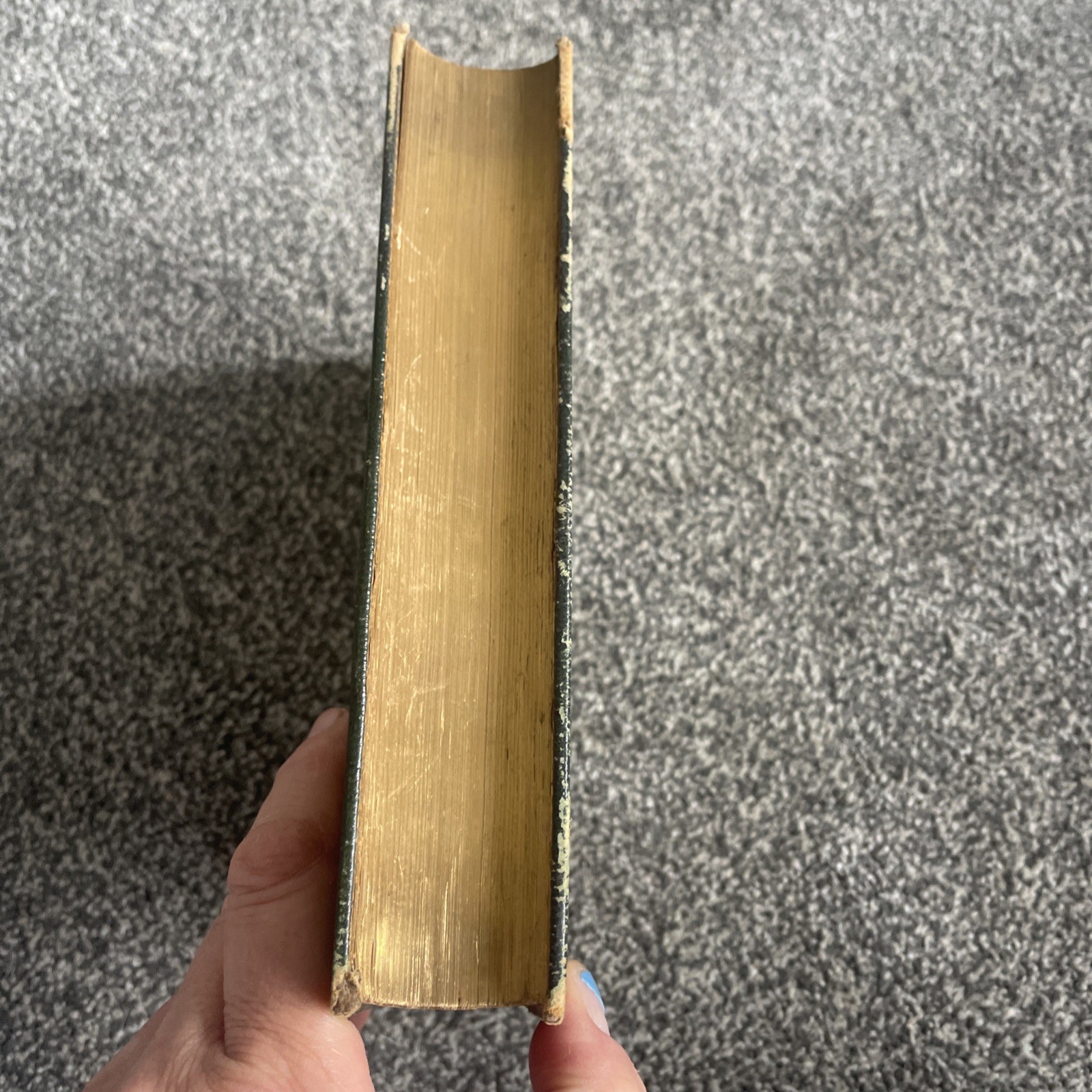 Thomas Moore Poetical Works The Chandos Poet Antique Book Frederick Warne