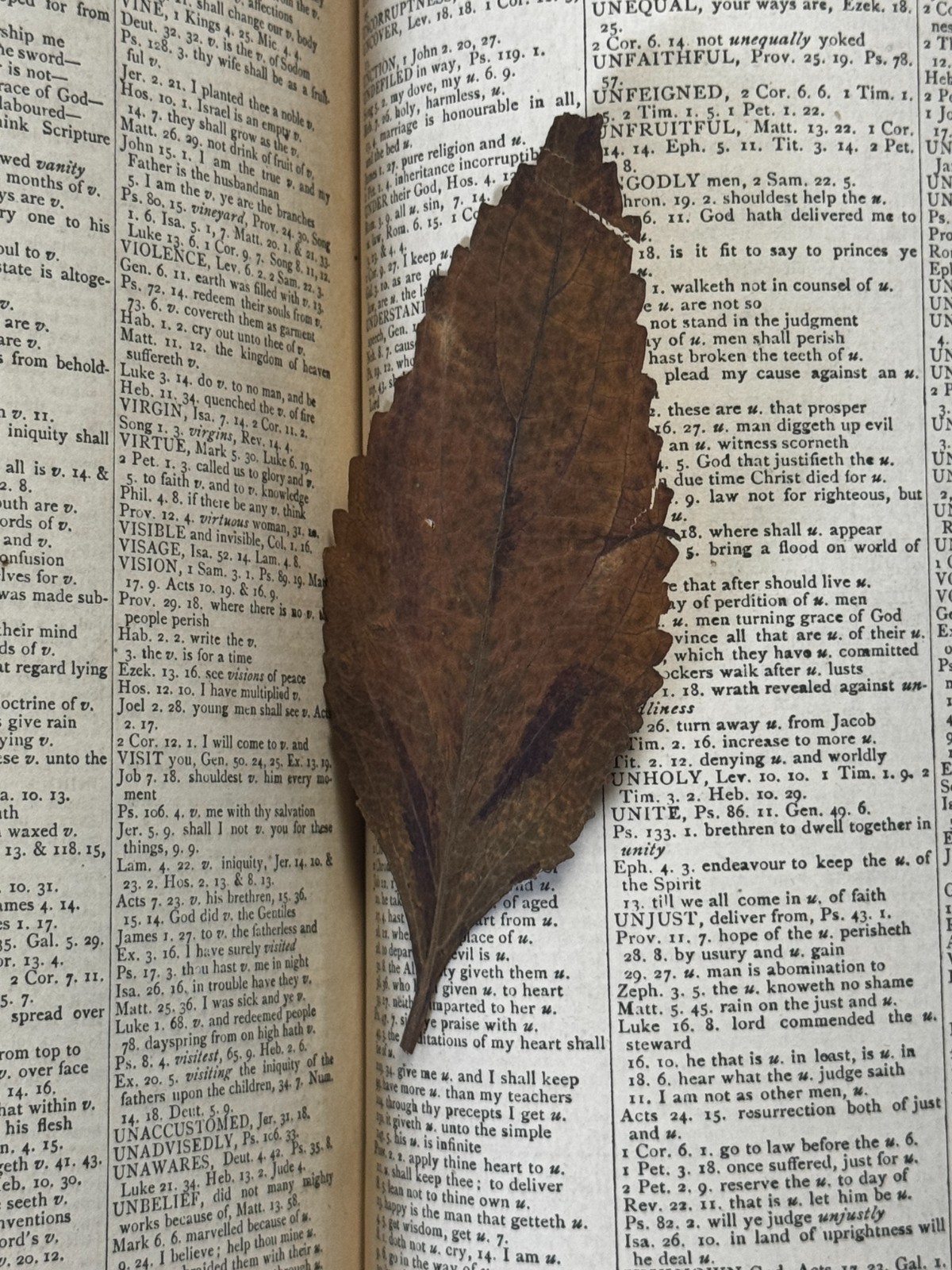 Antique 1880 Victorian Family Bible w/ Marriage Records, Photos & Pressed Leaf