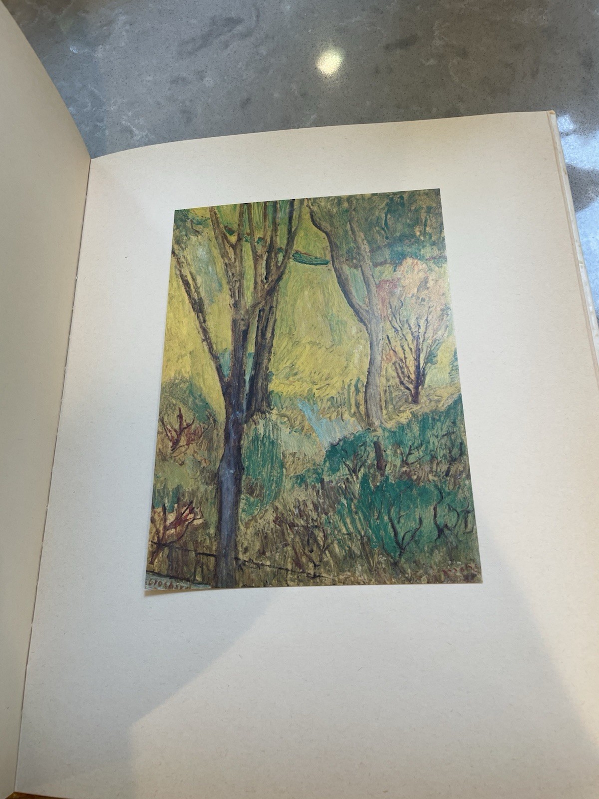 1976 Yehoshua Grossbard Signed Limited Edition Art Book W/Full Page Color Plates