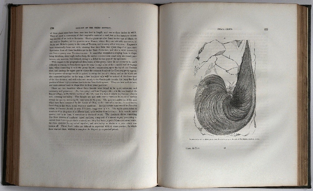 Natural History of New York, Geology of New York Part III Comprising of the Th..