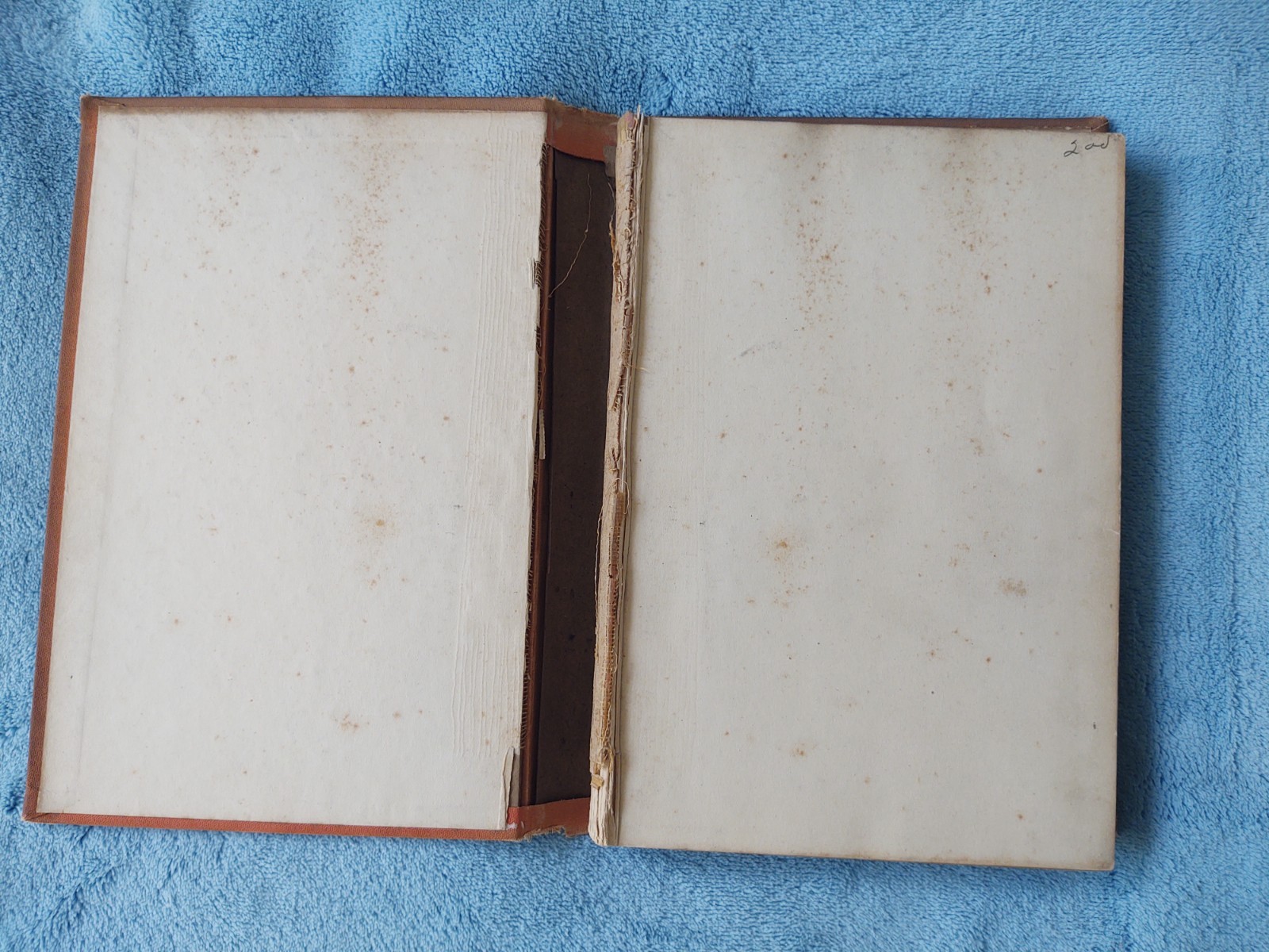 Earthology Humanity Characterized Raphael 1901 Antique Astrology Hardcover Book