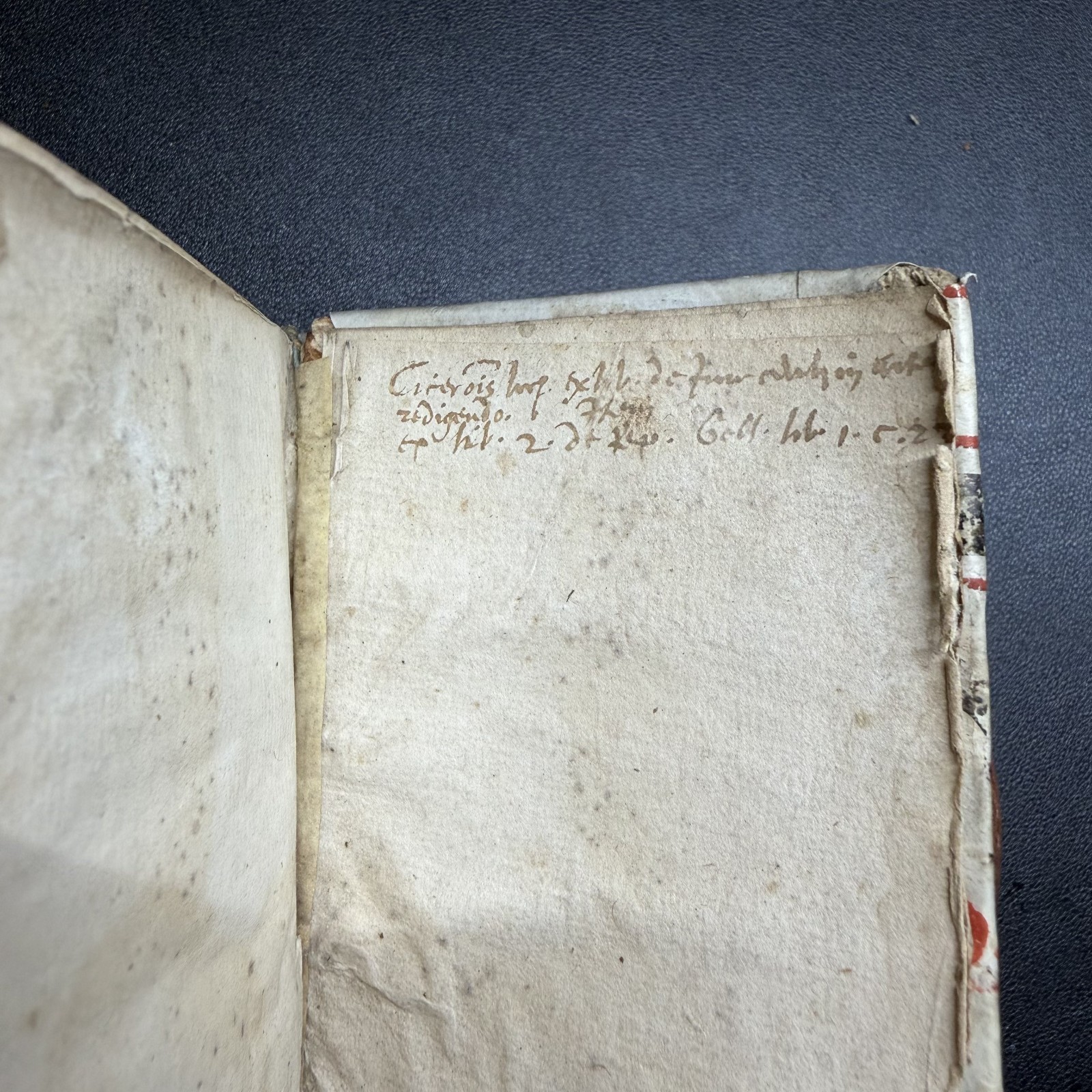 1559 Aulus Gellius Latin, Manuscript Vellum Binding, Gauffered Edges
