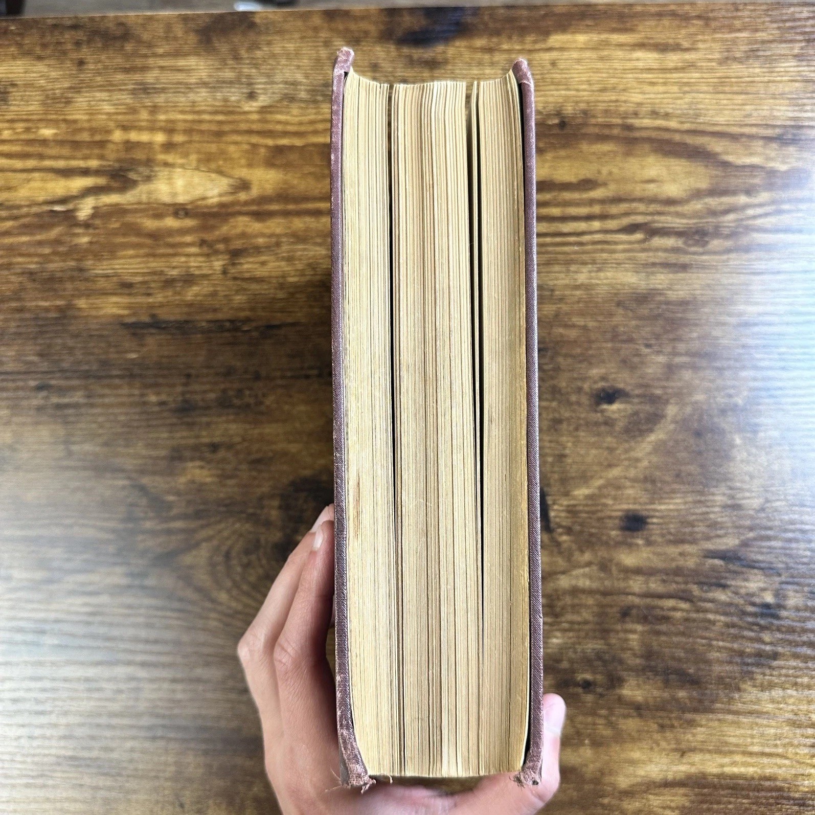 Antique 1896 Goffine’s Devout Instructions Epistles Gospels Catholic Book