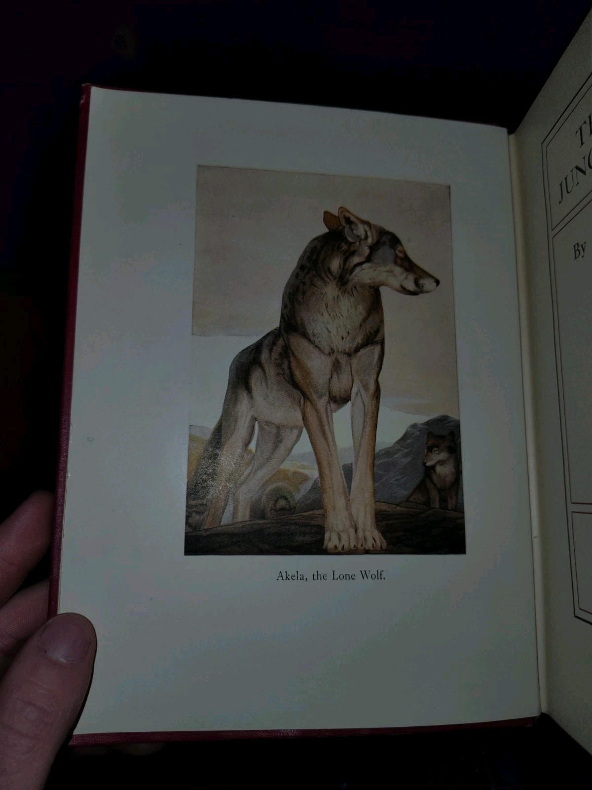 The Two Jungle Books by Rudyard Kipling ~ 1925 First Thus Ex-lib Very Good