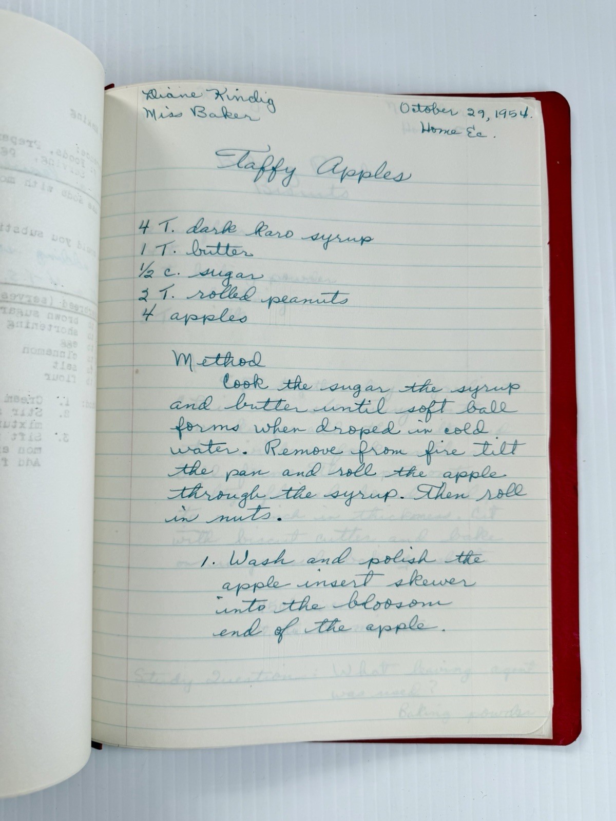 Vintage 1954-55 Home Economics Binder With Recipes & Notes Hand Written Cookbook