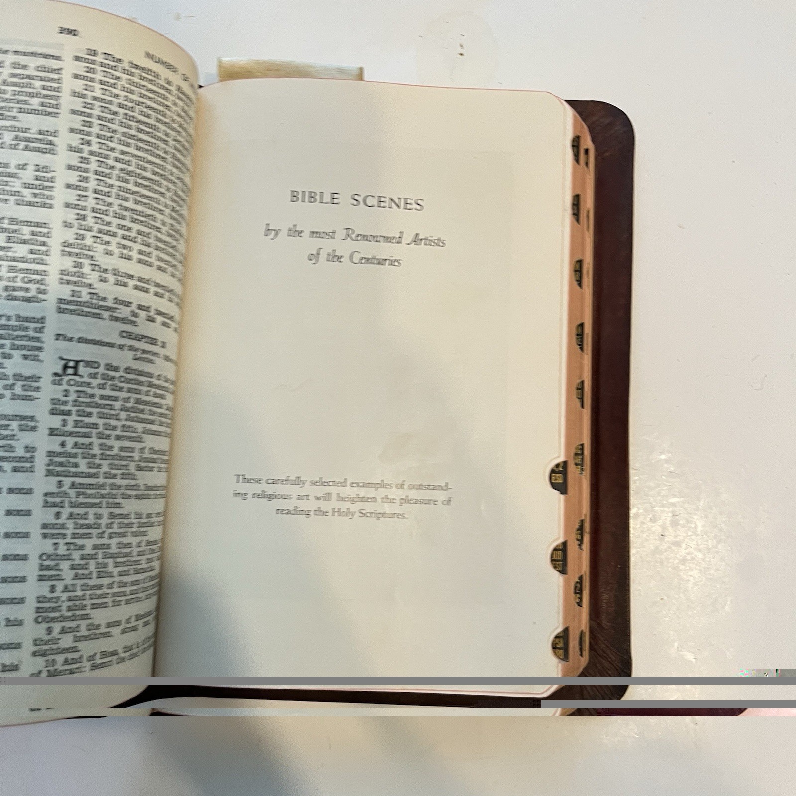 Embossed Leather Holy Bible Light of the World Edition (Catholic Edition) 1952