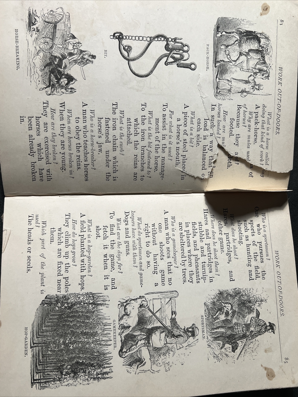 Antique 1881 THINGS OUT – OF – DOORS Book 480 ILLUSTRATIONS Hardback 160 Pg