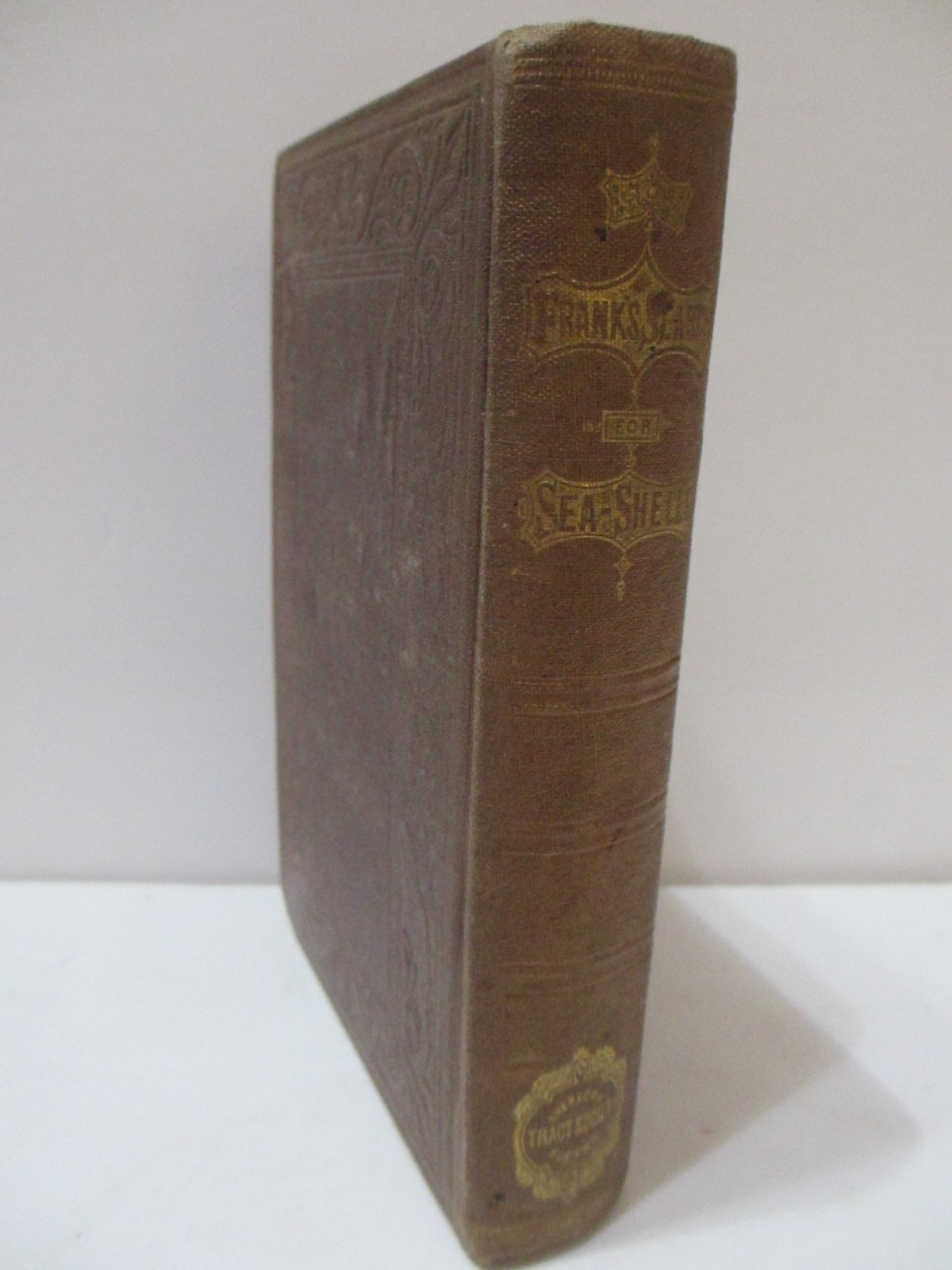 RARE 1866 ANTIQUE BOOK SEA SHELLS FRANK’S SEARCH FOR CONCHOLOGY STUDY ENG PLATES