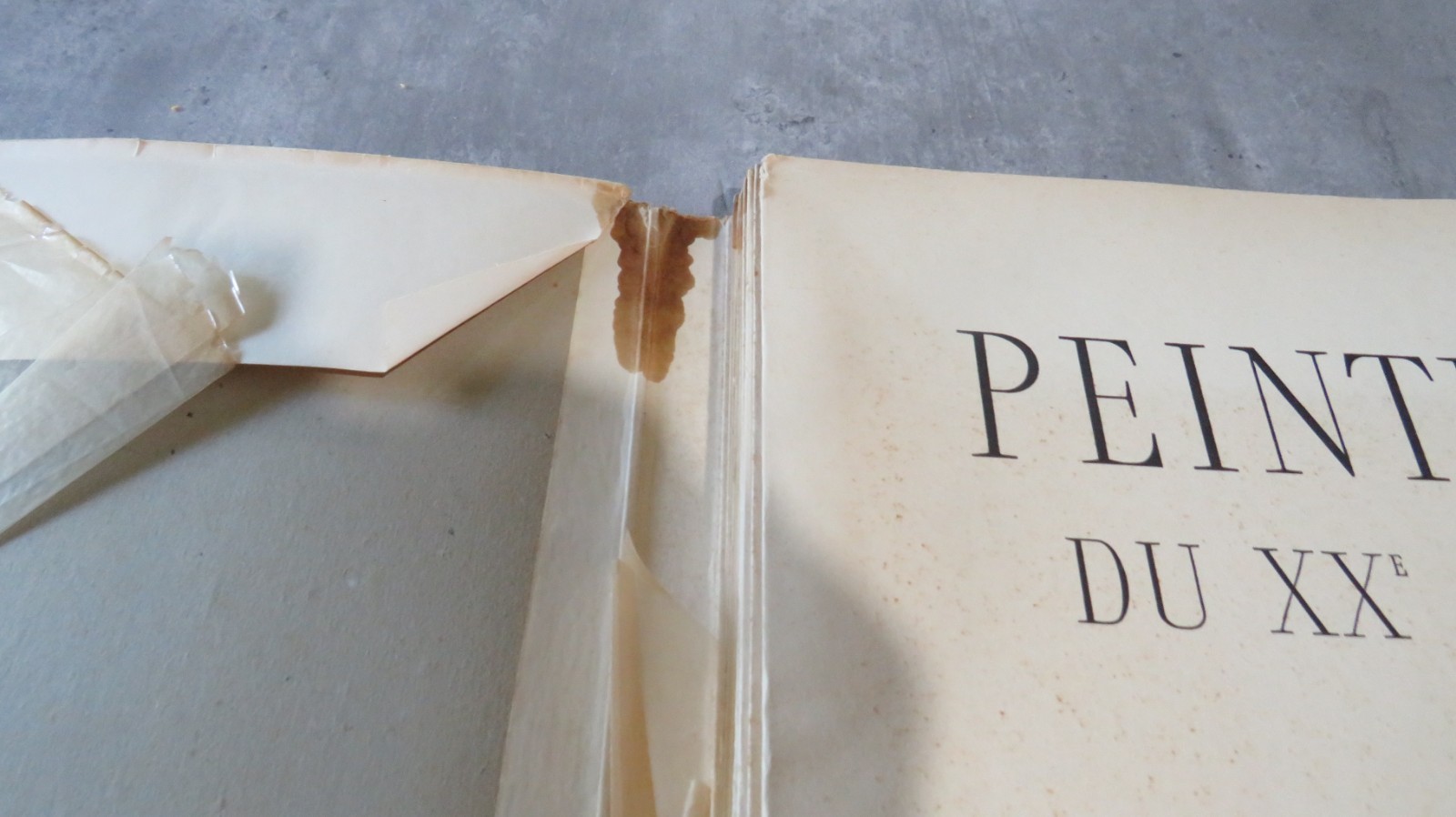Peintres Du XXe Siecle par Maurice Raynal-FRENCH ART BOOK
