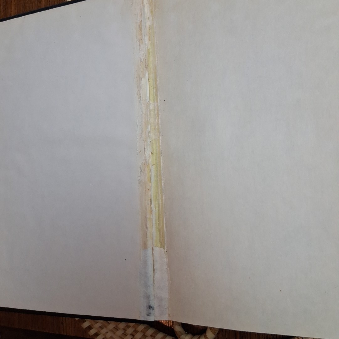 1871 Young People’s Illustrated Bible History Alvan Bond Antique Hardcover
