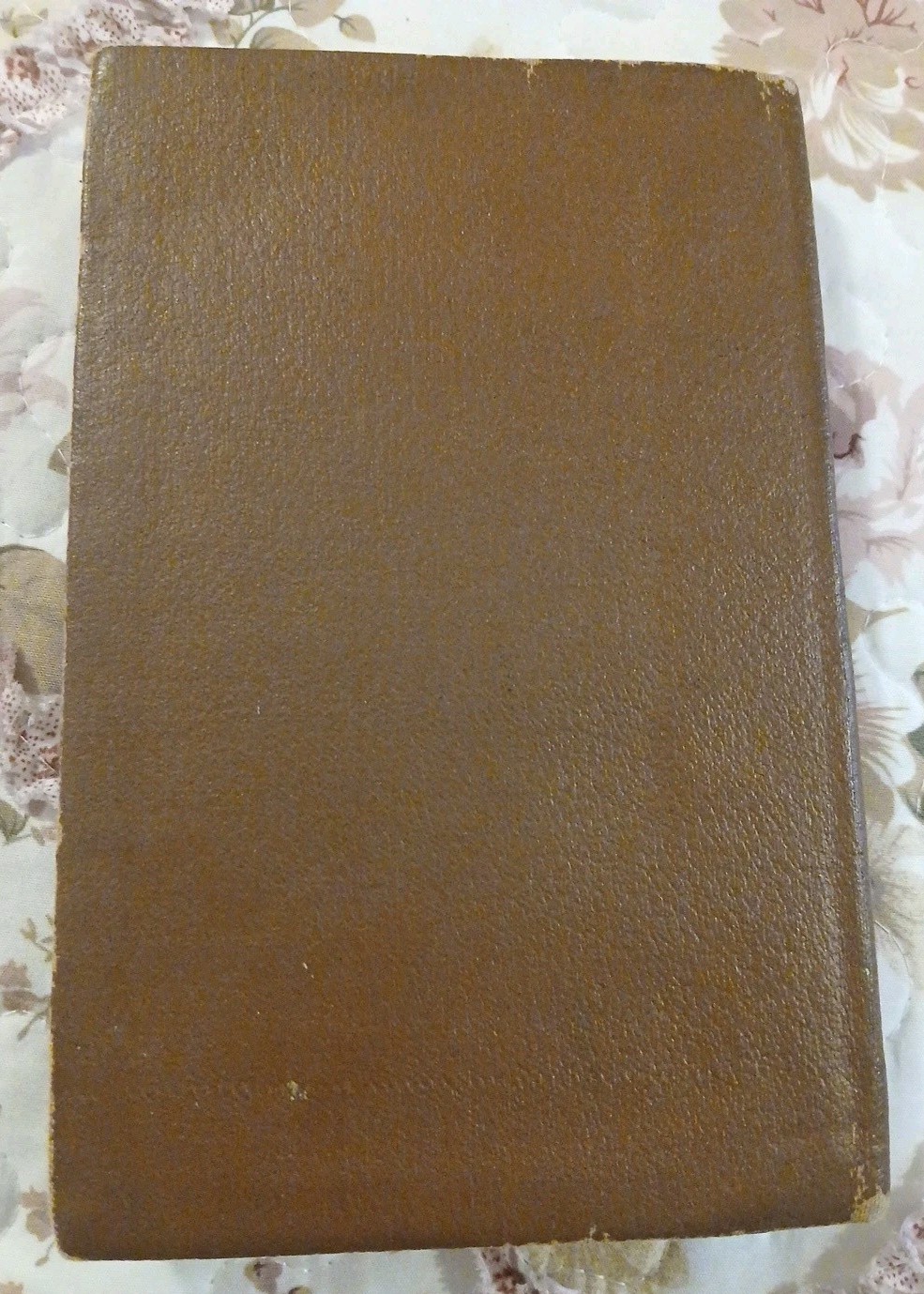Vintage Green Fairy Book By Andrew Lang Early 1900’s The Companion Books