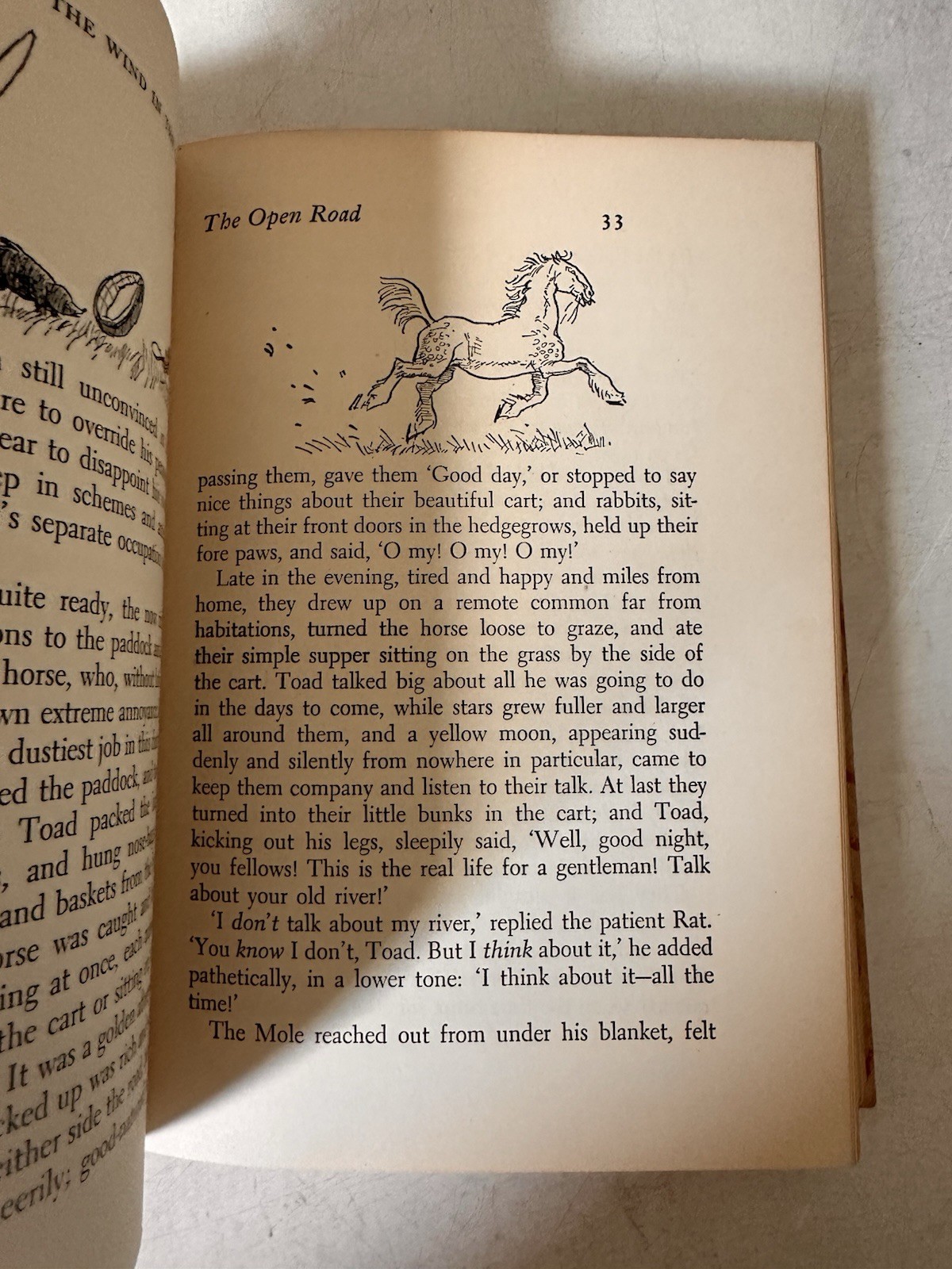 The Wind in the Willows Kenneth Grahame 1953 Illustrated