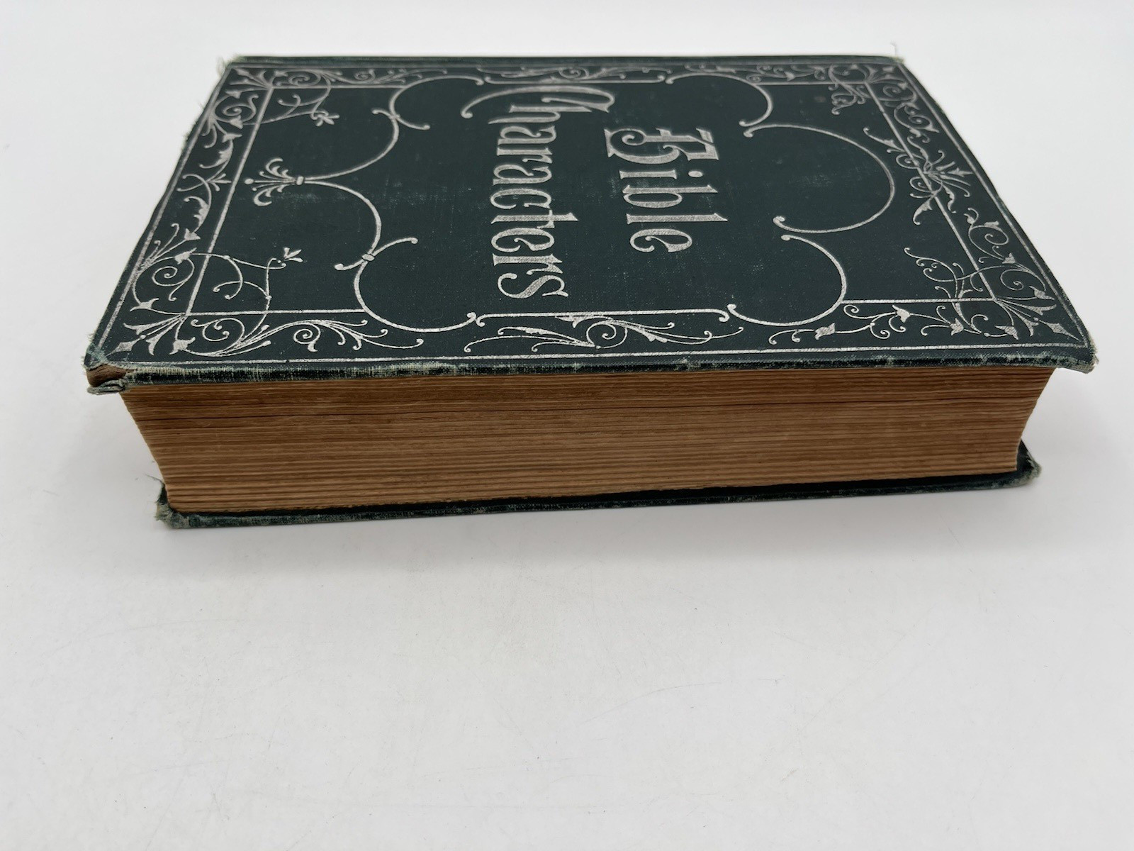 Bible Characters 1905 Rhodes McClure Gustave Doré Illustrated Christian Sermons
