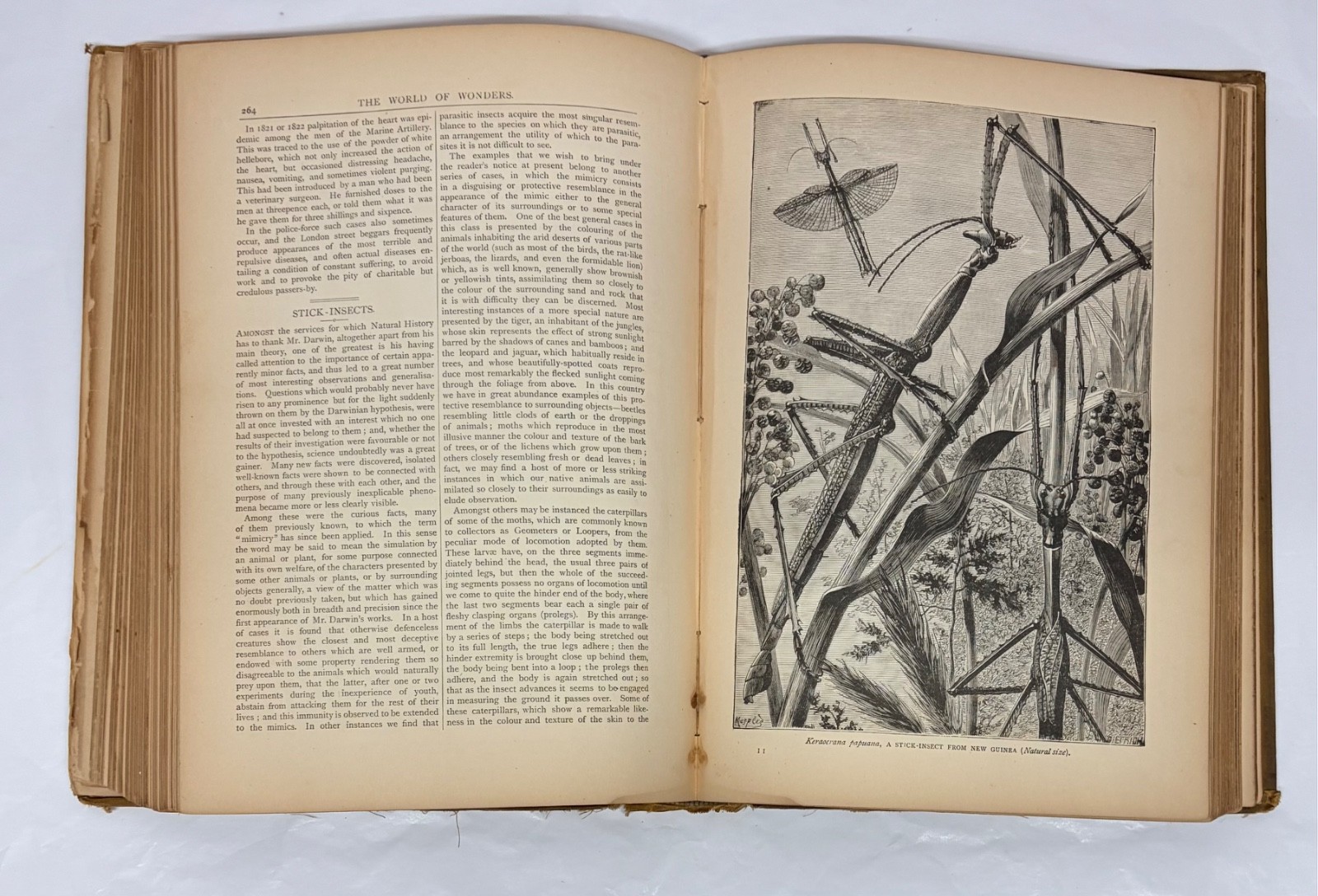 Wonders Of The Universe 1st Edition Book 1885 Science Astrology