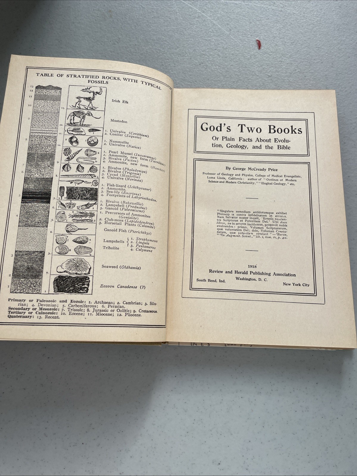 Two Books By George Price 1918 Underlining In The Book