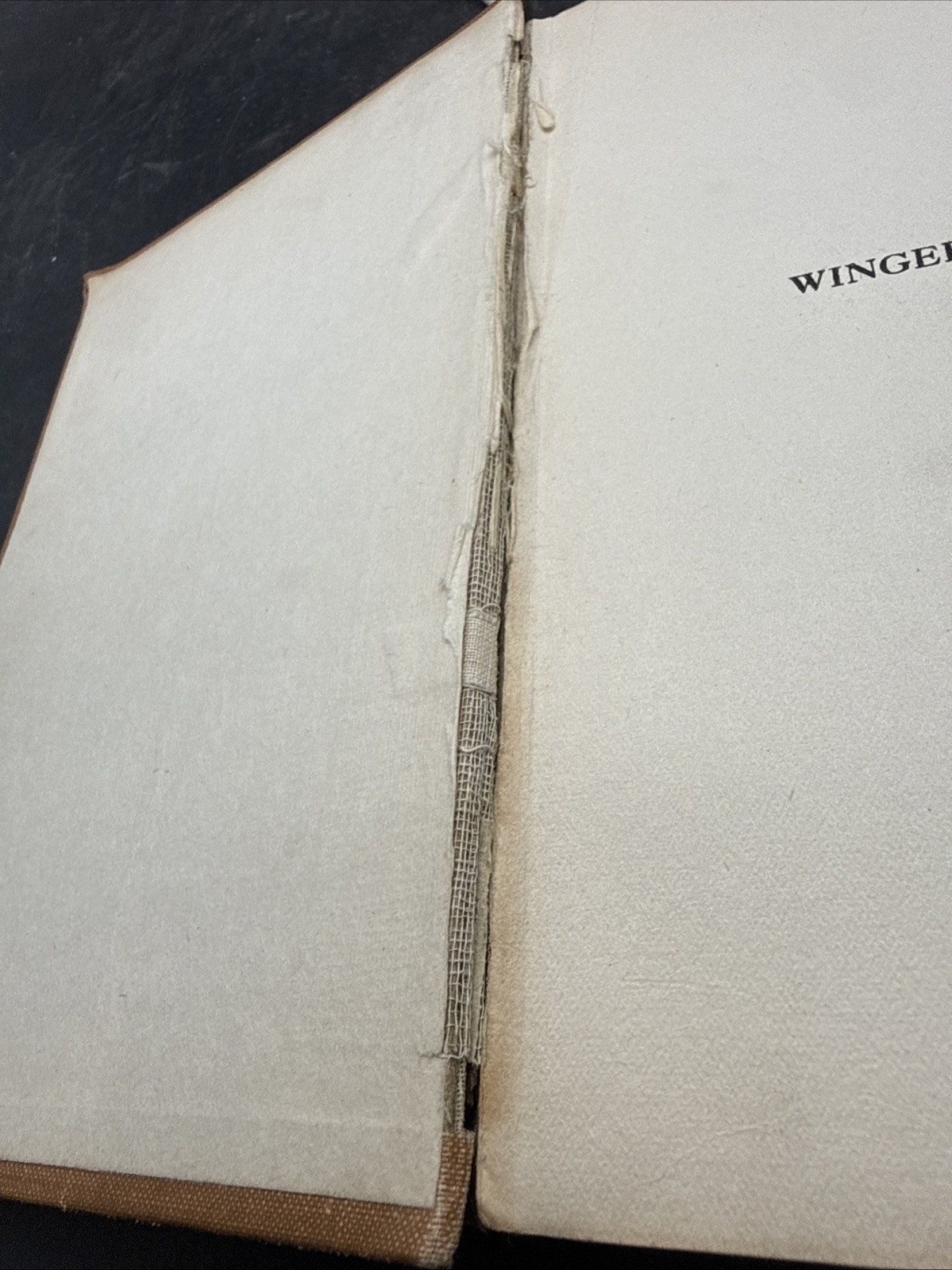 Winged Warfare by Major W A Bishop WWI Hunting the Huns in the Air 1st Edition
