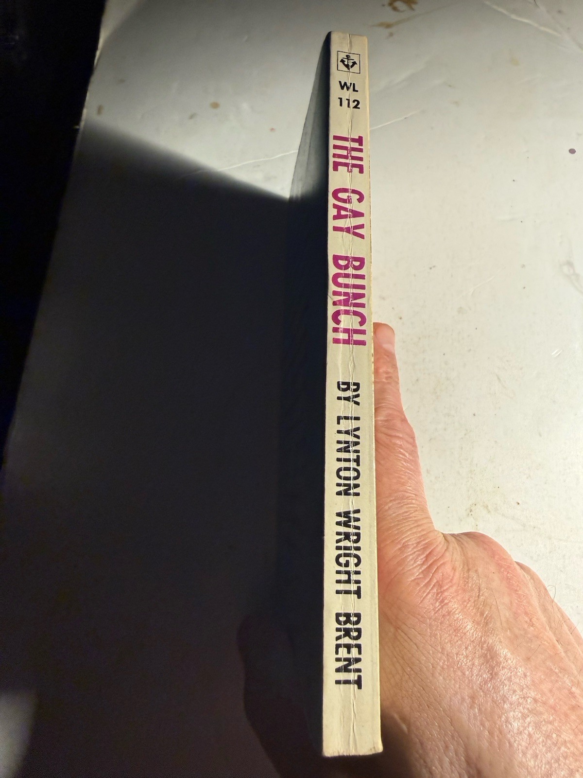 THE GAY BUNCH 1965 LYNTON WRIGHT BRENT VINTAGE PULP NOVEL GAY INTEREST VERY RARE