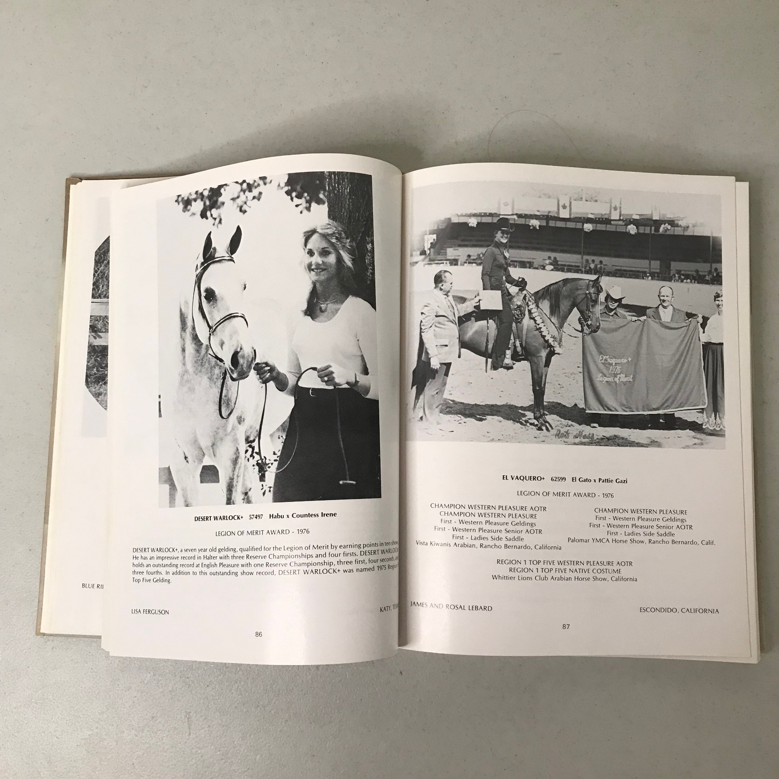 Arabian Horse Yearbook 1976 – Arabian Horse Association – HC