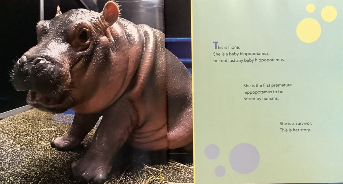 AUTOGRAPHED Fine 2018 HC DJ 1st ED Saving Fiona Hippo Thane Maynard