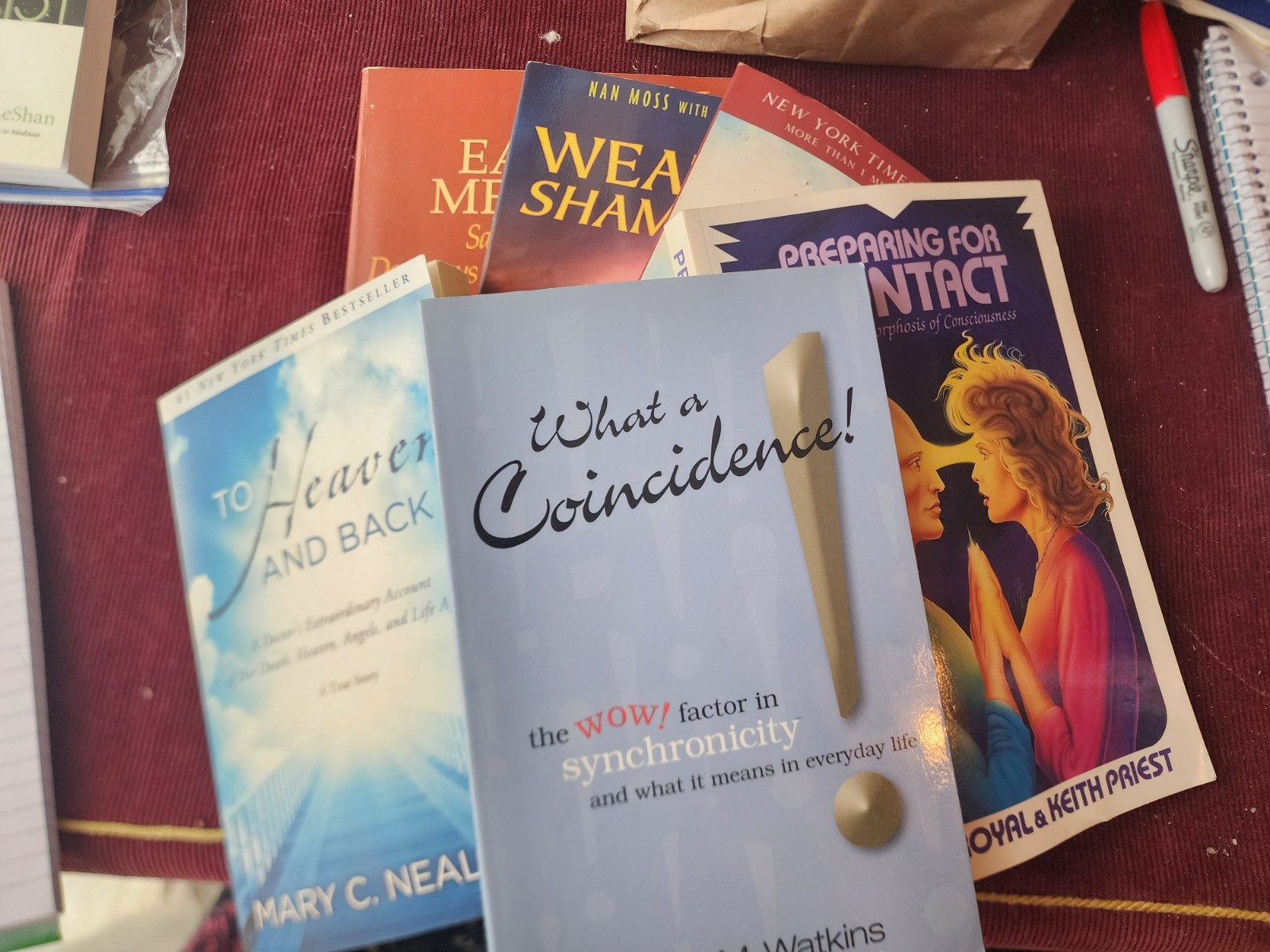 Lot Of 6 Metaphysical books Shamanism, New Age, Spirituality, Mystic