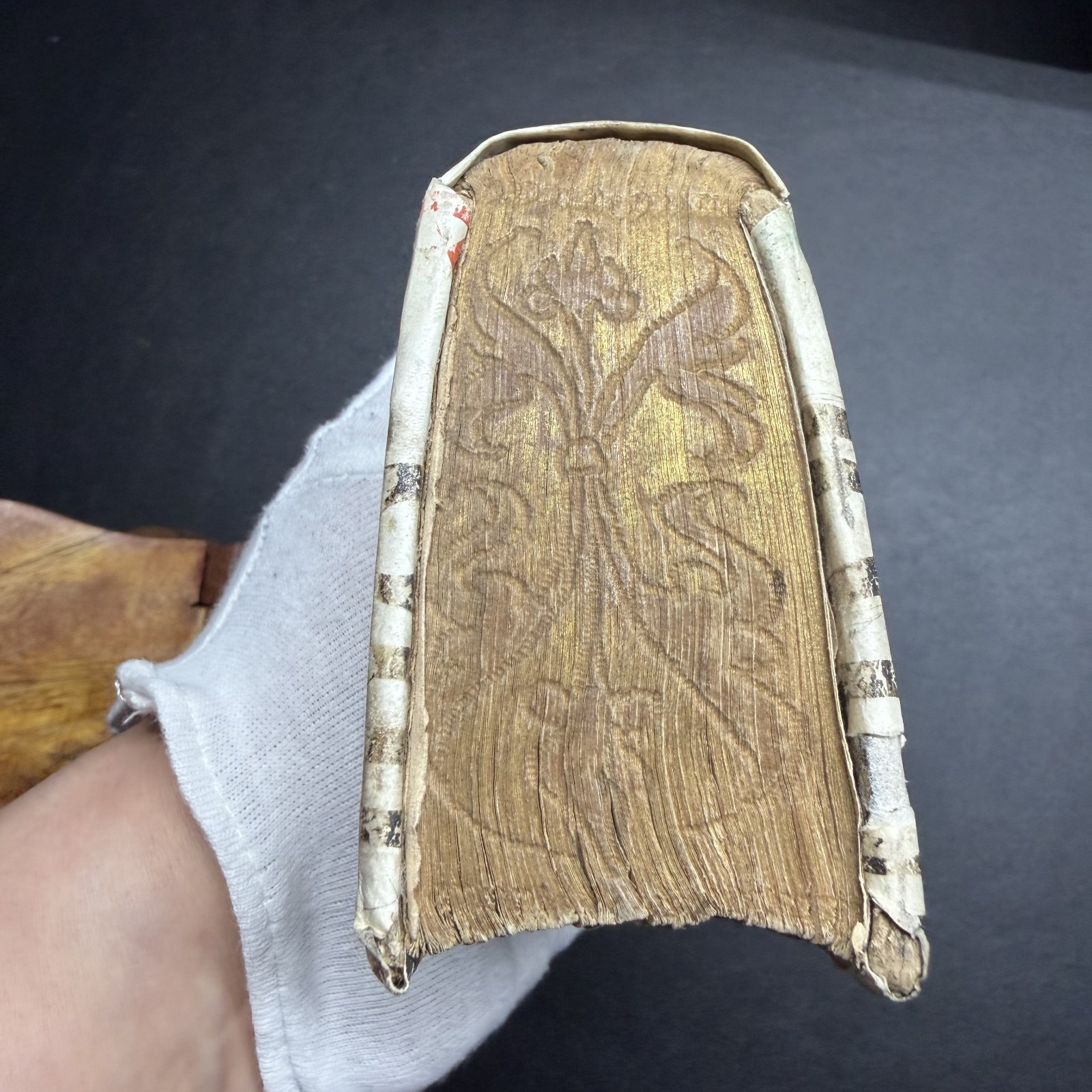 1559 Aulus Gellius Latin, Manuscript Vellum Binding, Gauffered Edges