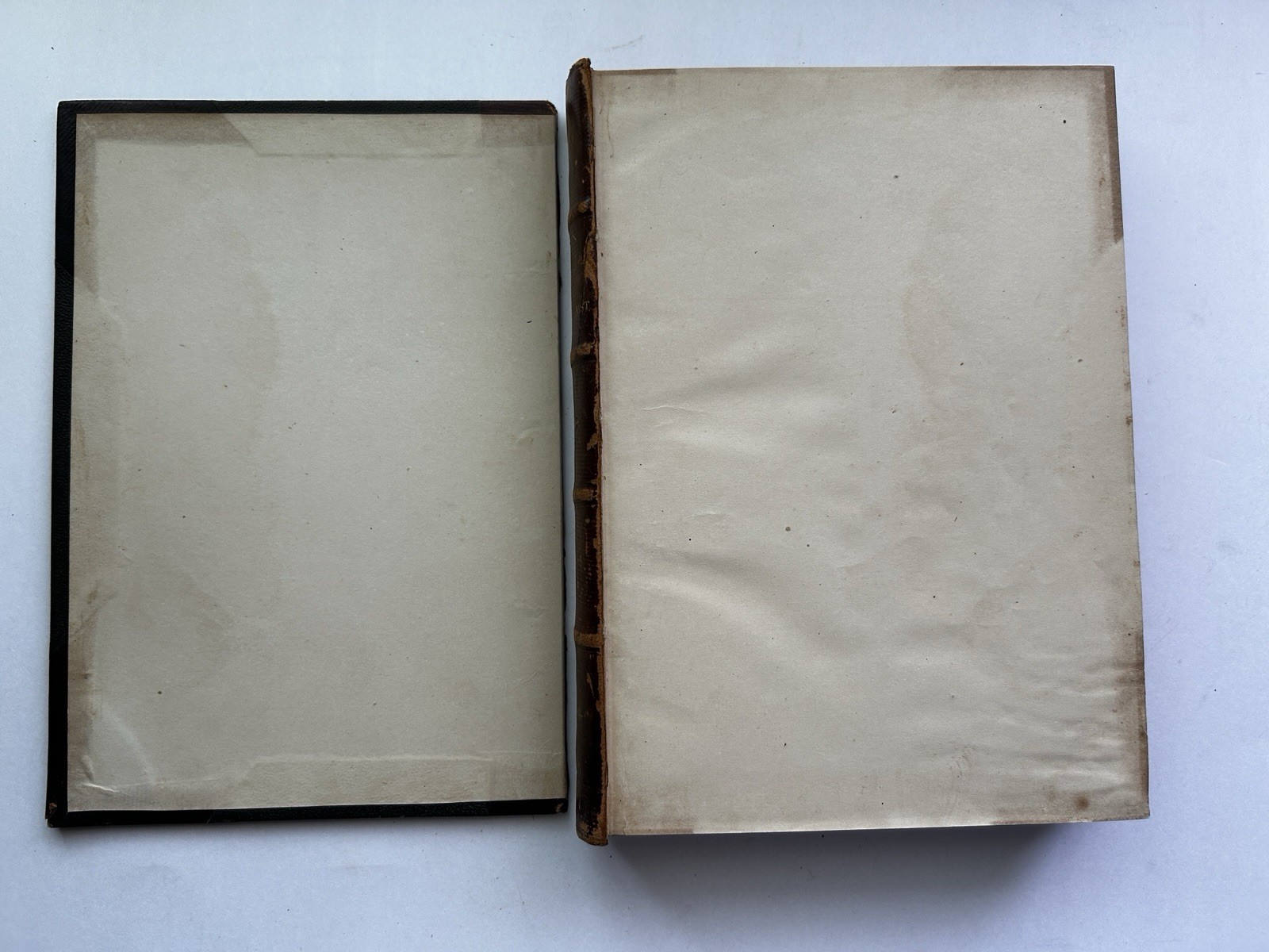 1884 – 86 The Gardeners’ Monthly & Horticulturist Thomas Meehan 23 Issues Bound
