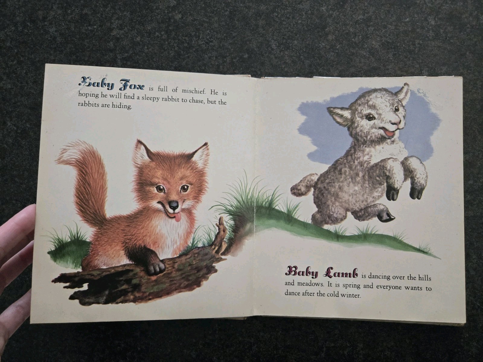 Baby Animals, A Golden Book, Garth Williams, 1952, Vintage Board Book