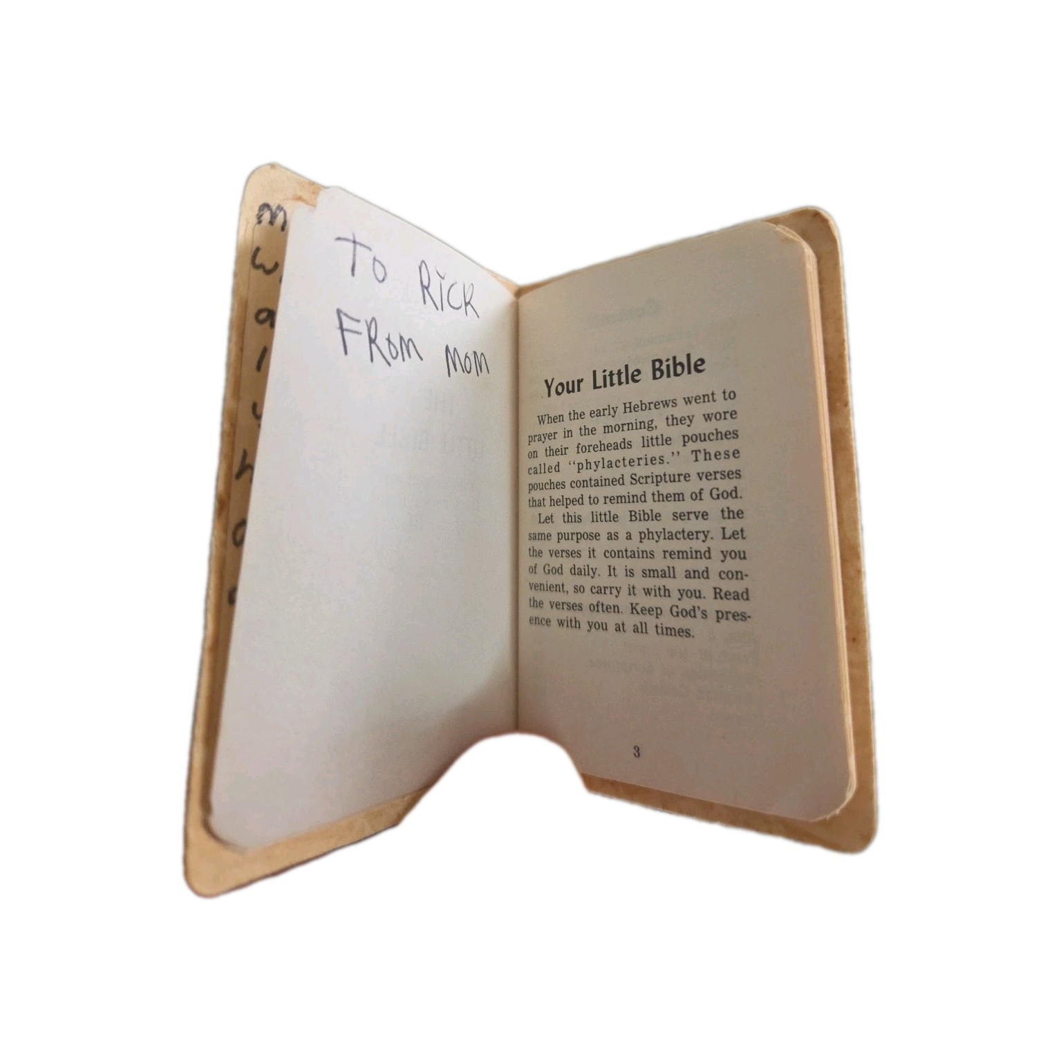 The Little Bible 1964 From Skrudland Photo Service David C. Cook Publishing Co.