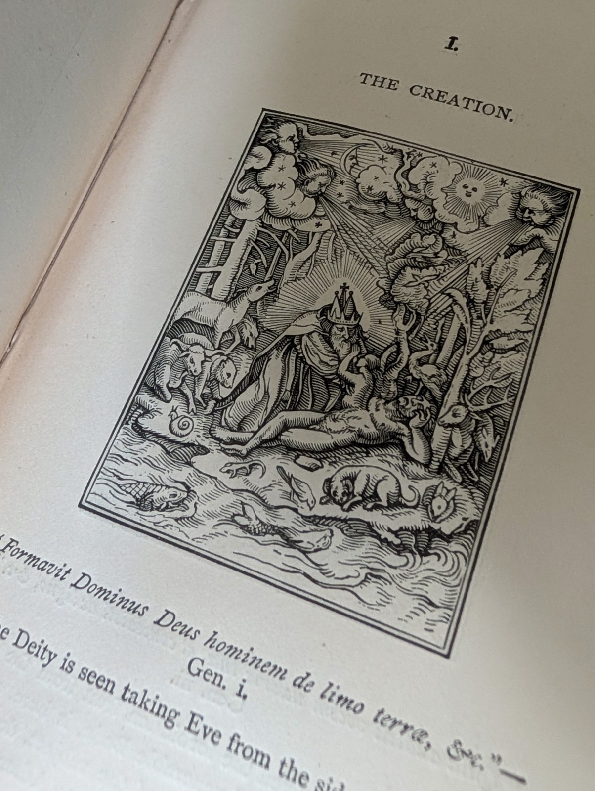 Rare 1896 ~ DANCE OF DEATH ~ Holbein’s / HARDCOVER BIBLE OCCULT WITCHCRAFT book