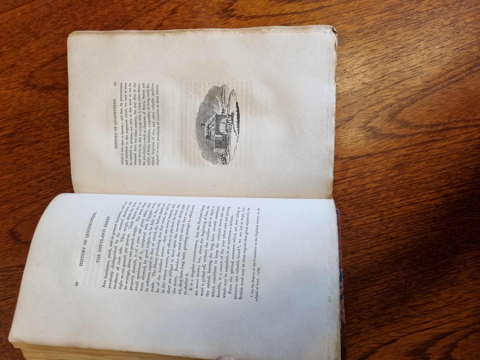 Bewick, Thomas. A General History of Quadrupeds 1807. Imperial paper issue.