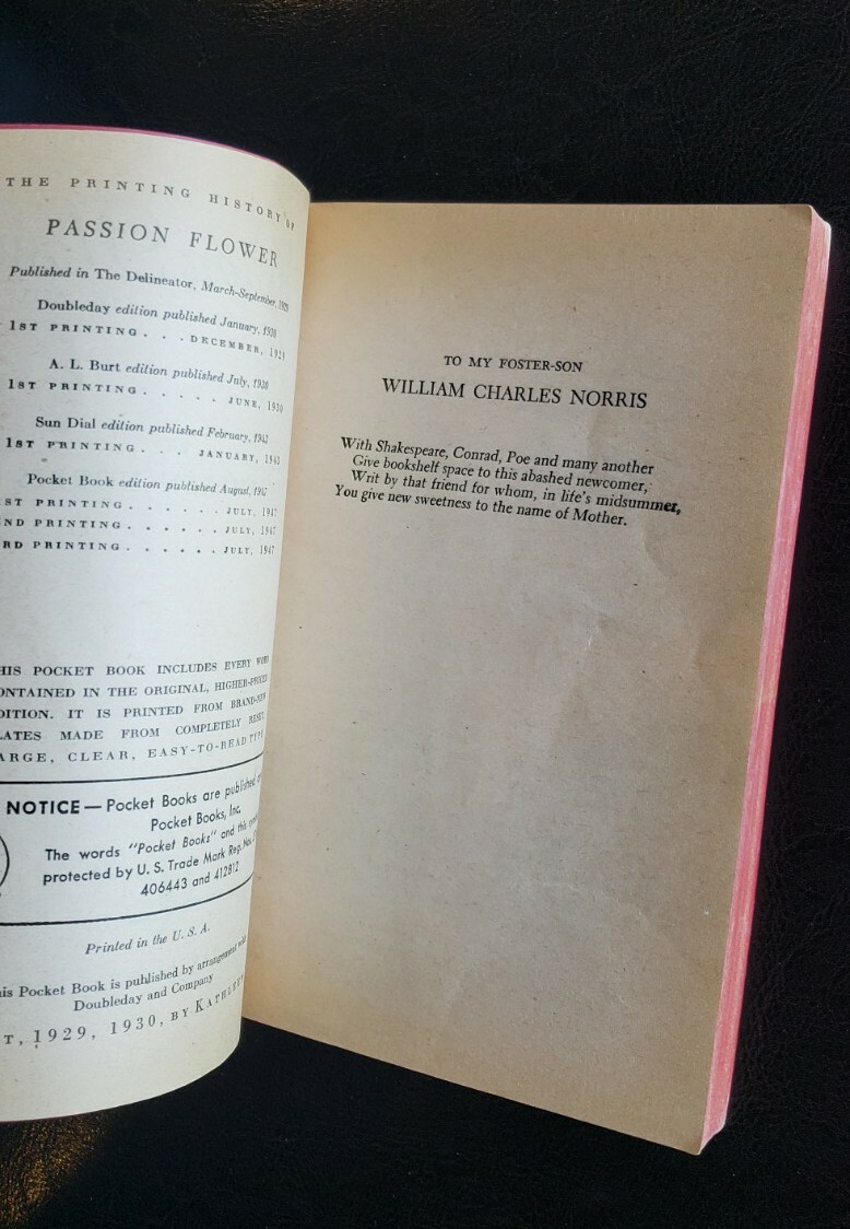 Passion Flower Kathleen Norris Pocket Book 480 Vintage Pulp Paperback