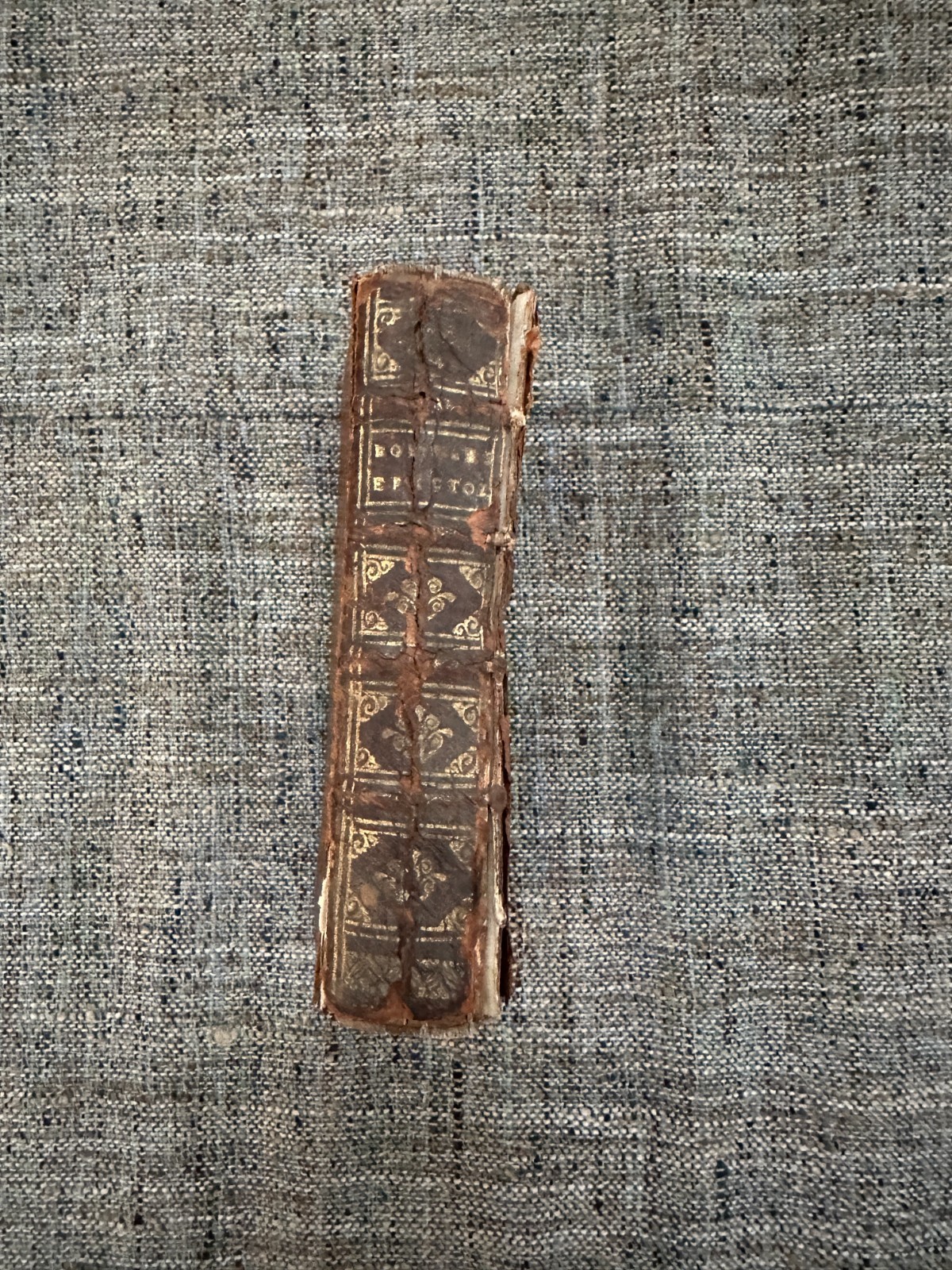 1647 Jacobi Bongarsi Epistolae, Joachim Camerarium Ex Oficina Elzeviriorum