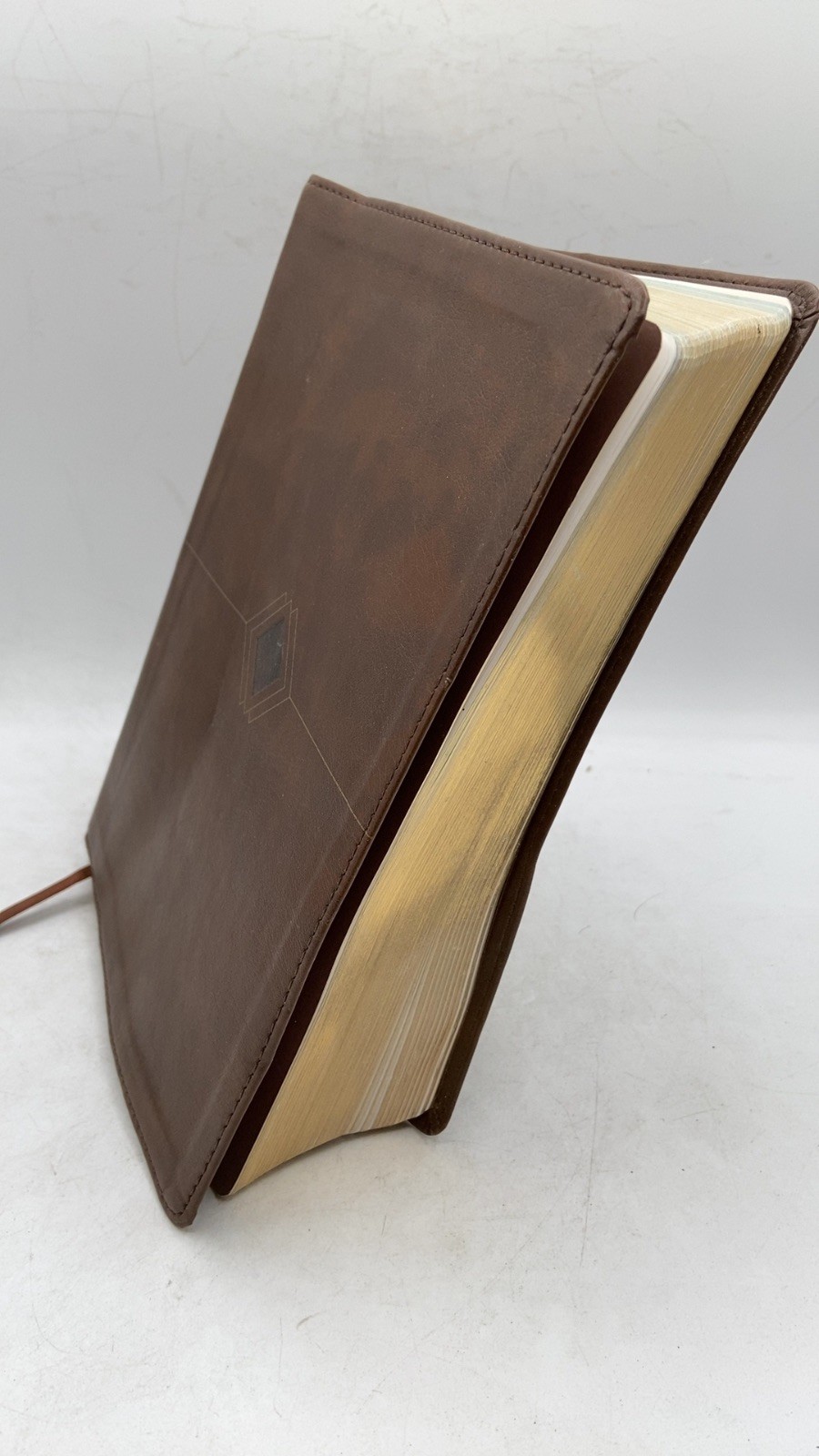 Day-by-Day Chronological Bible Dr. George H. Guthrie Hardcover 2018
